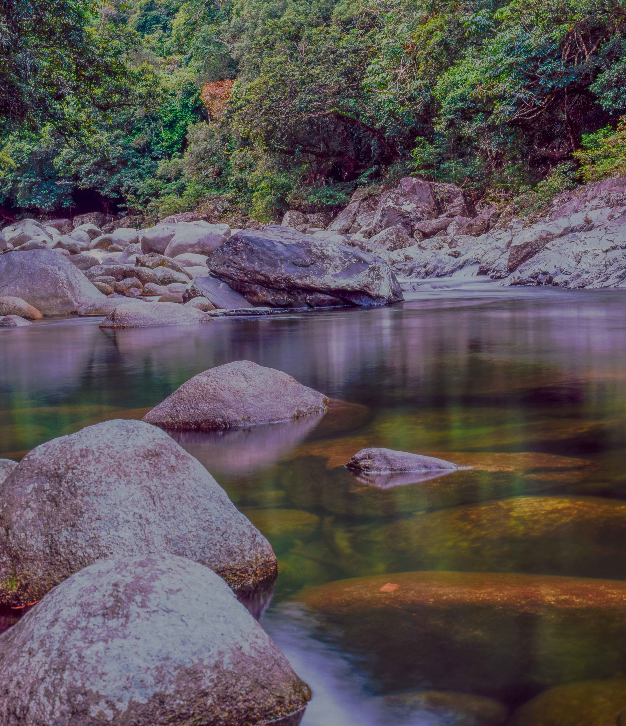 Mossman Gorge Nth QLD 3.jpg