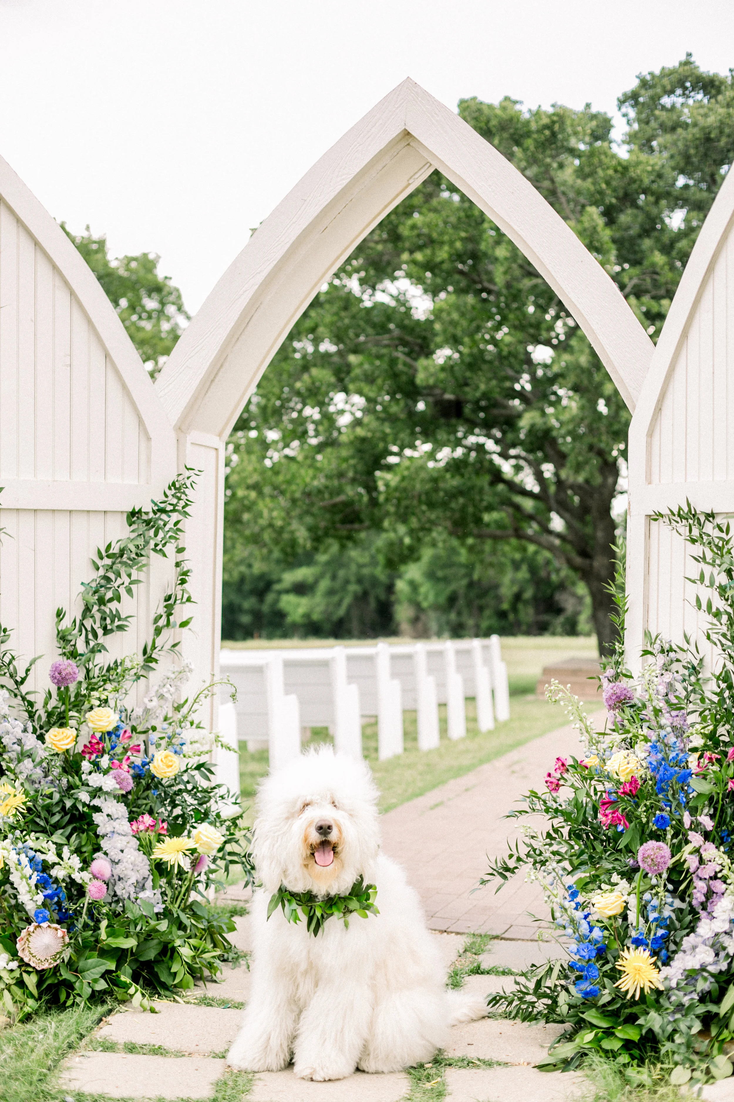 ABBIEMAEPHOTOGRAPHY_COLORMYWORLD-168.jpg