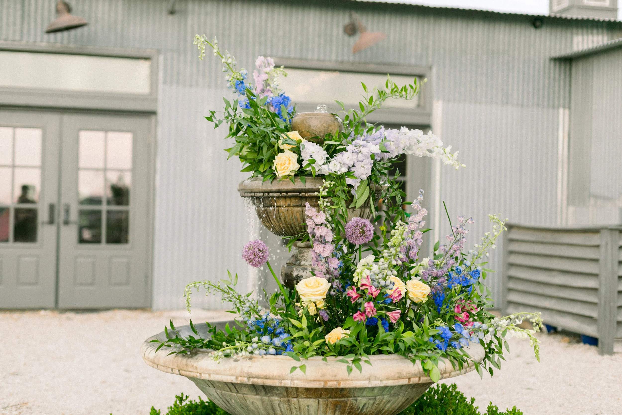 ABBIEMAEPHOTOGRAPHY_COLORMYWORLD-345.jpg