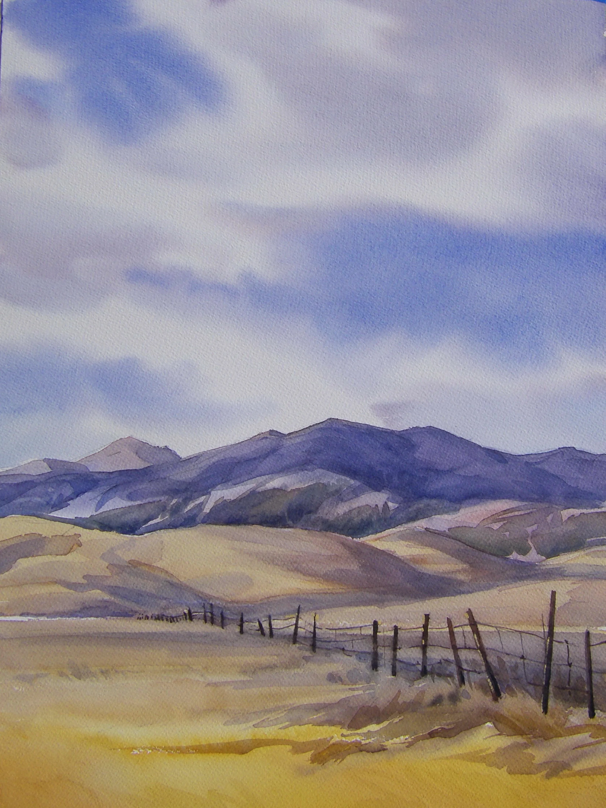 Carrizo Fenceline