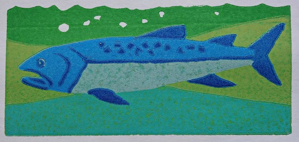 Steelhead Trout