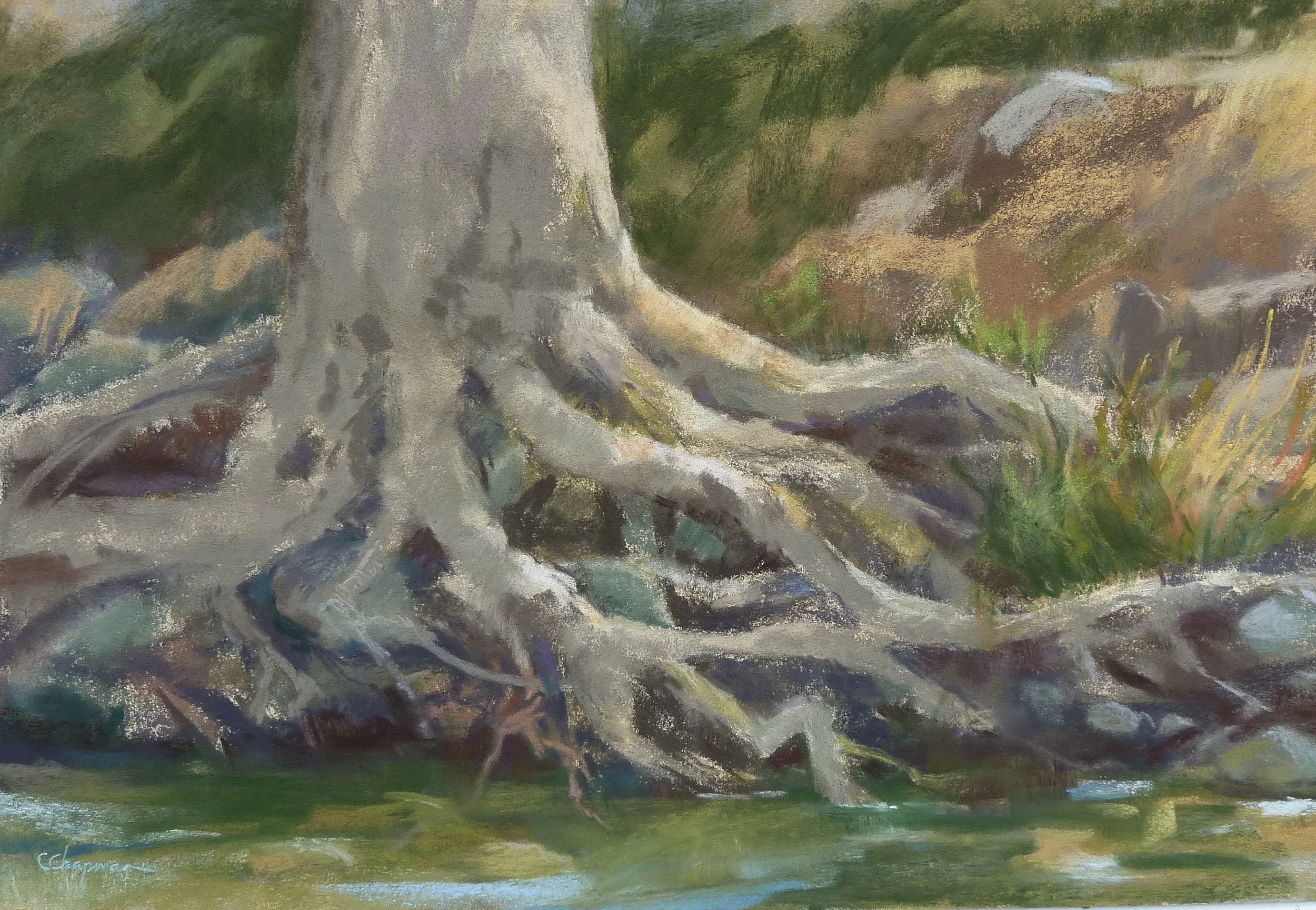 Creekside Sycamore SOLD