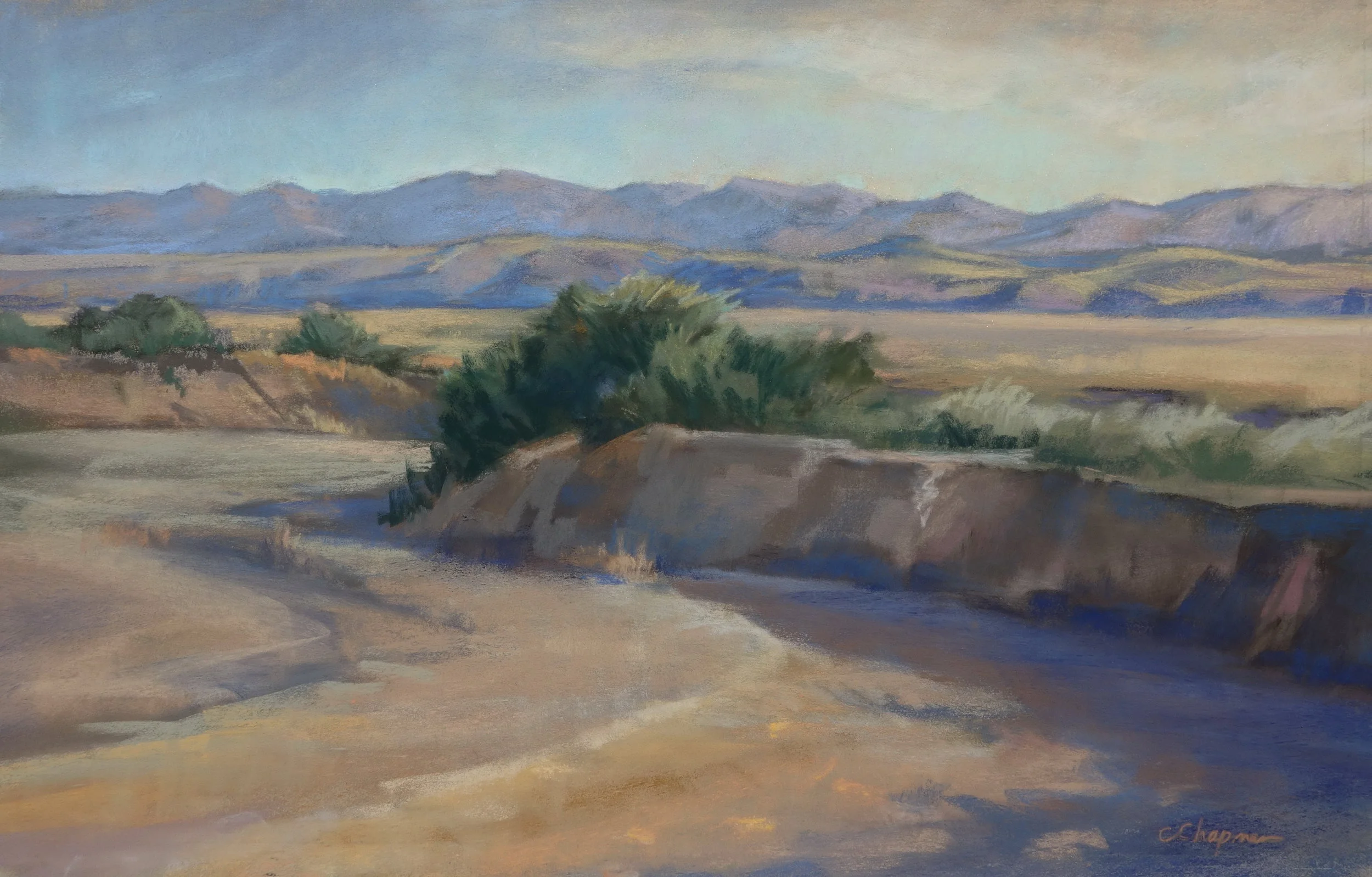 Carrizo Honeymoon 12x18 pastel.JPG