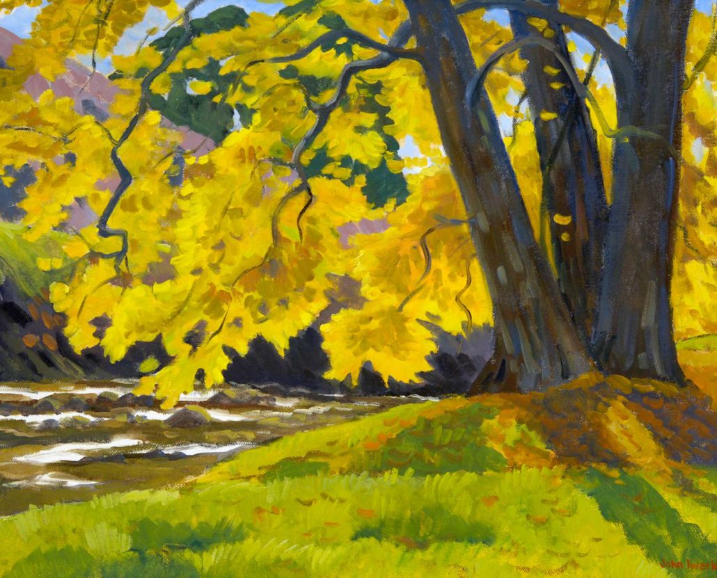 Creekside Sycamore
