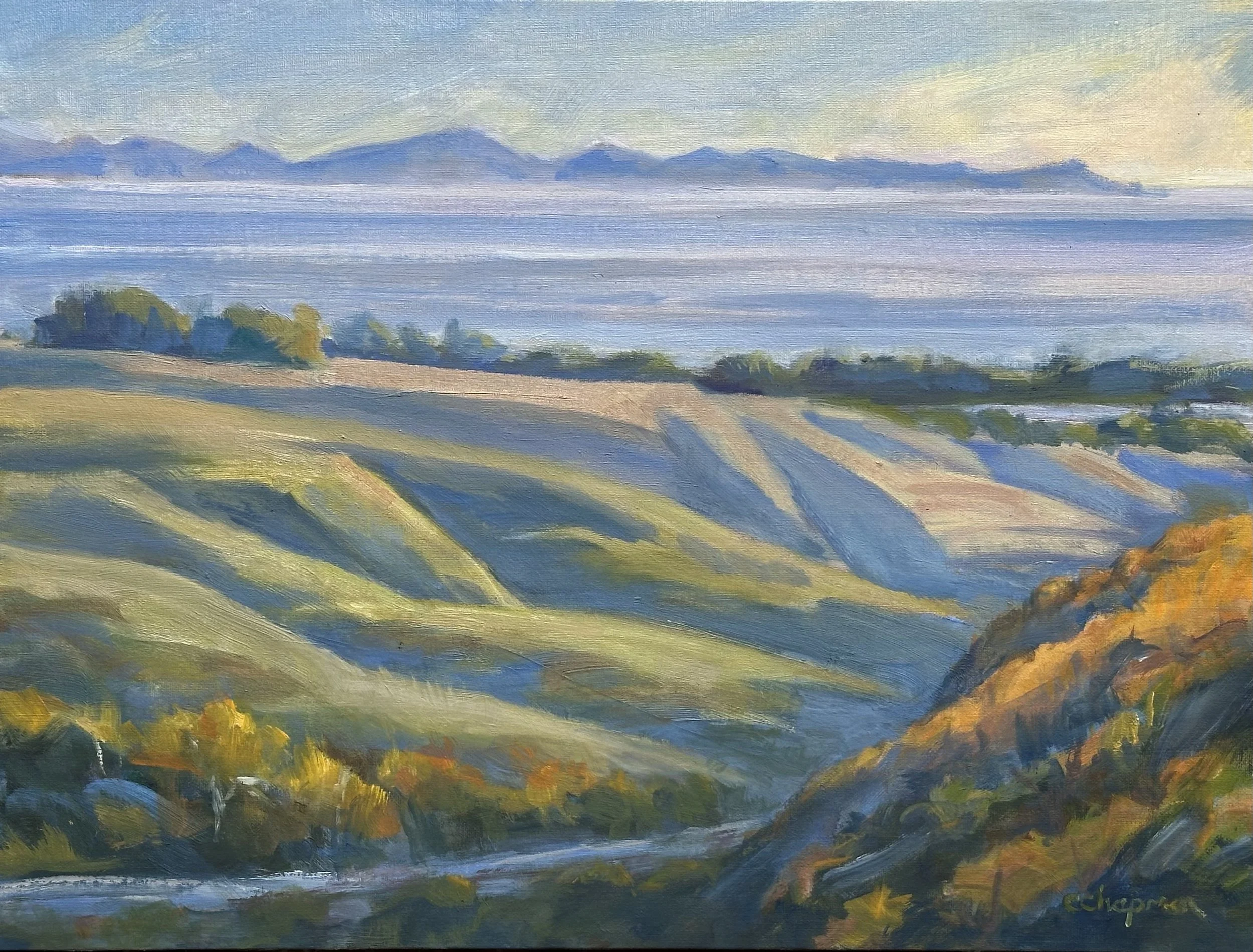 Dos Pueblos Canyon chapman.jpg