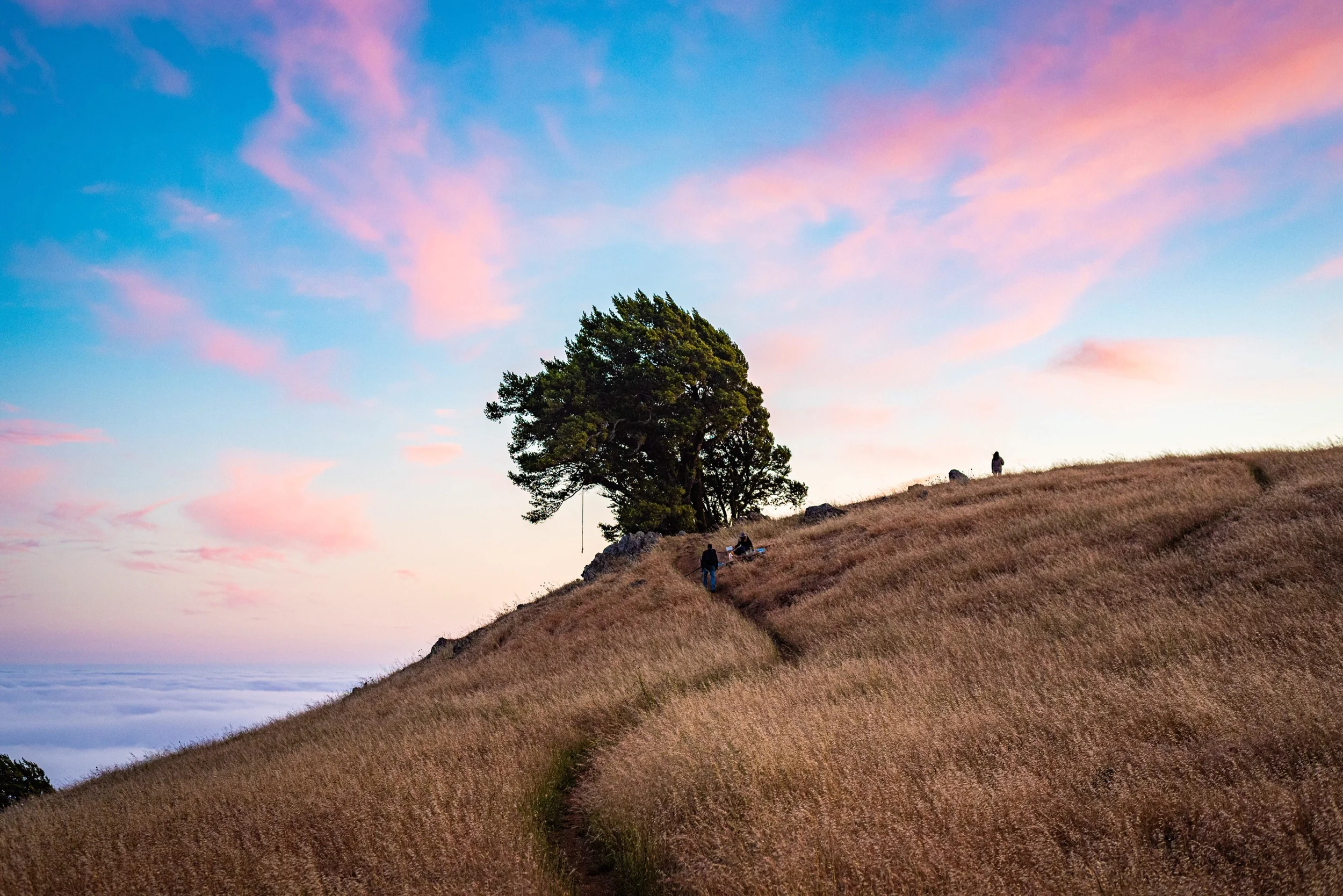 GO OUTSIDE: BENEFITS OF THE SUN
