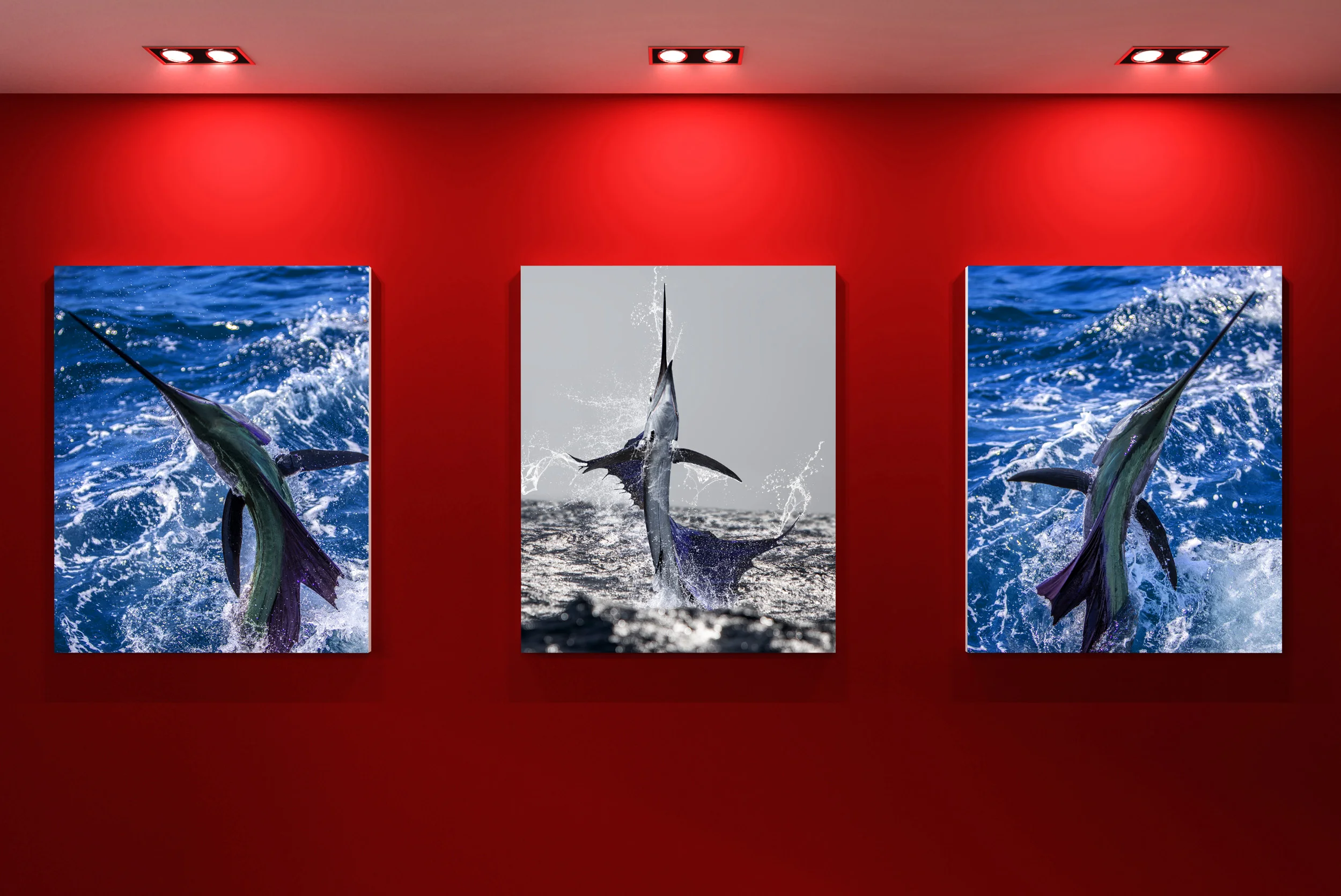 Collections2.jpg
