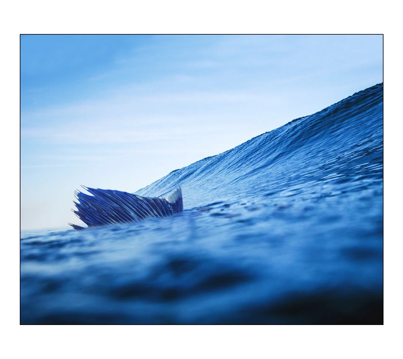 Wave Rider- Full Print.jpg