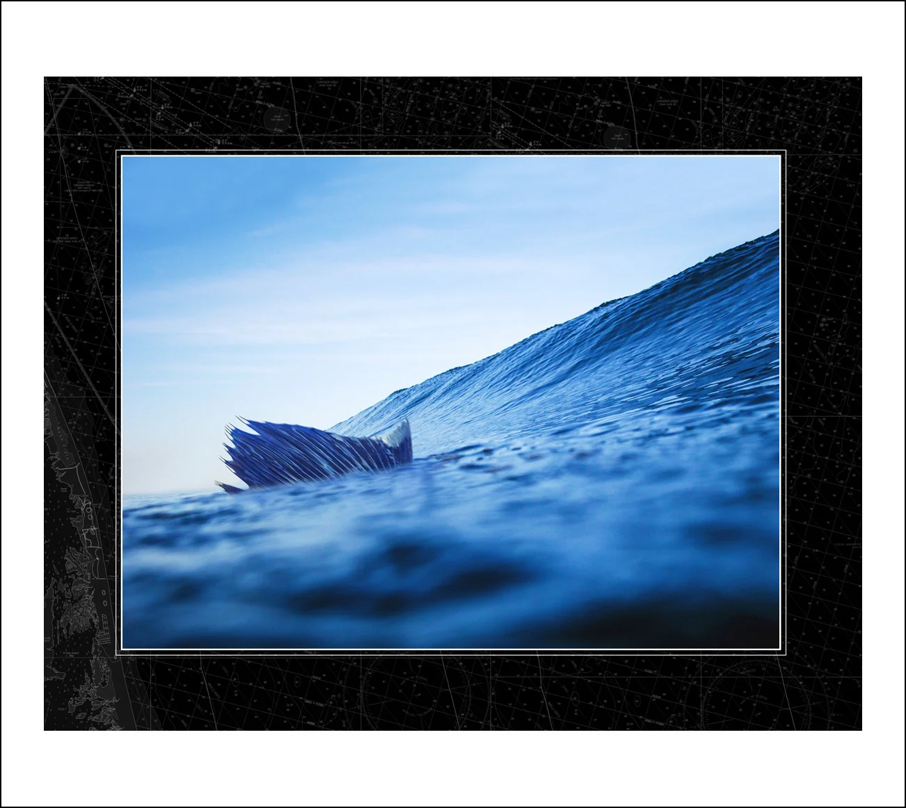 Wave Rider - NauticalBorder.jpg