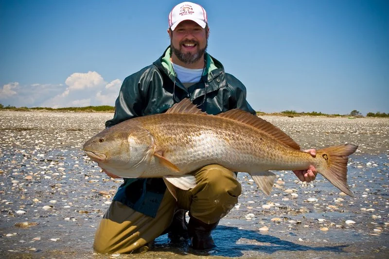 RedDrum.jpg