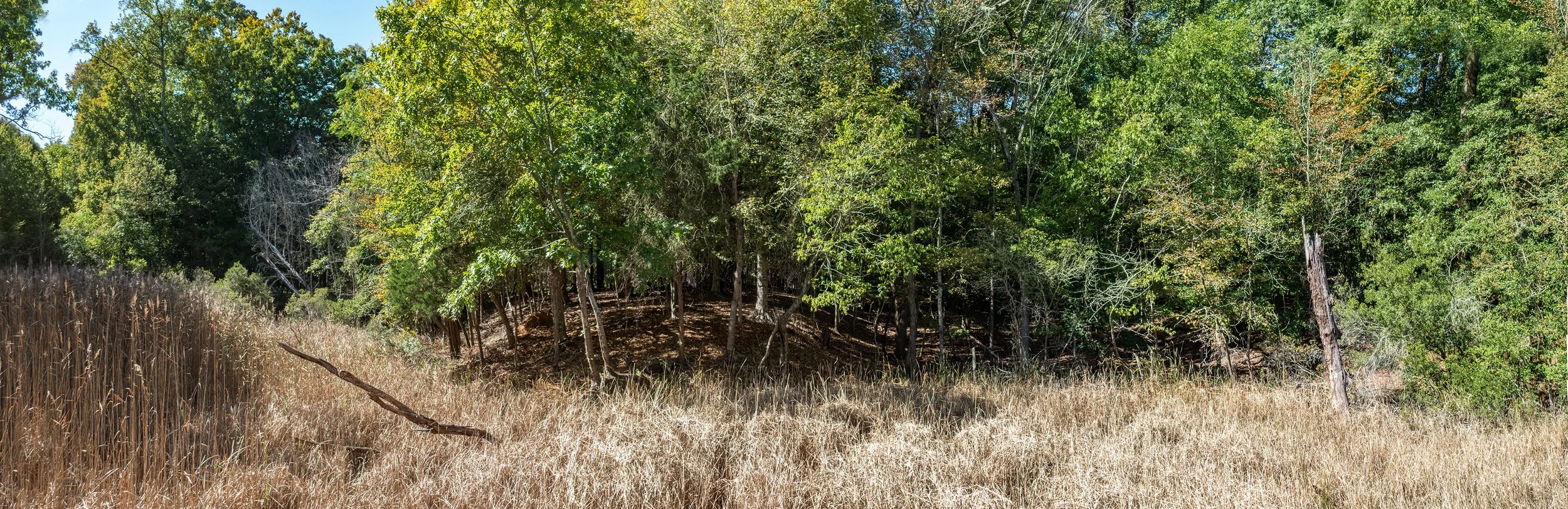 Path --8.jpg