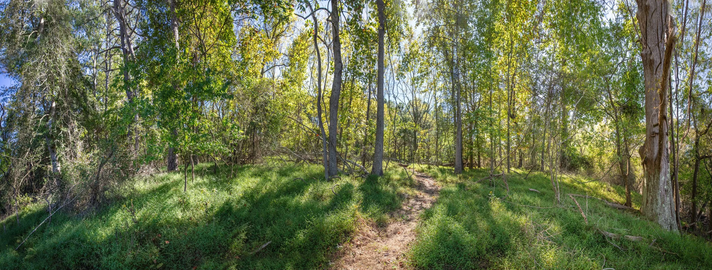 Path --10.jpg