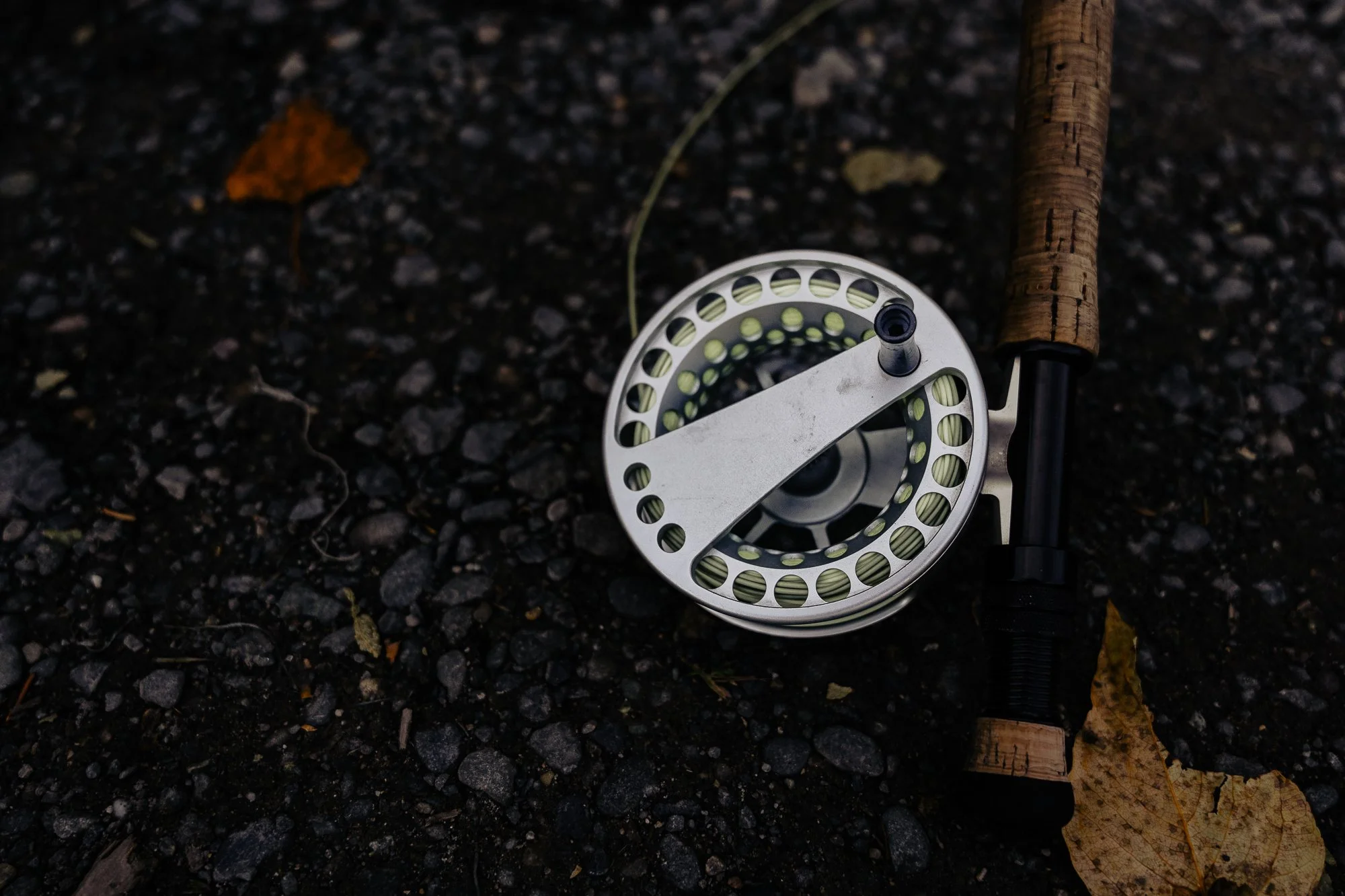 WGP01784.jpg