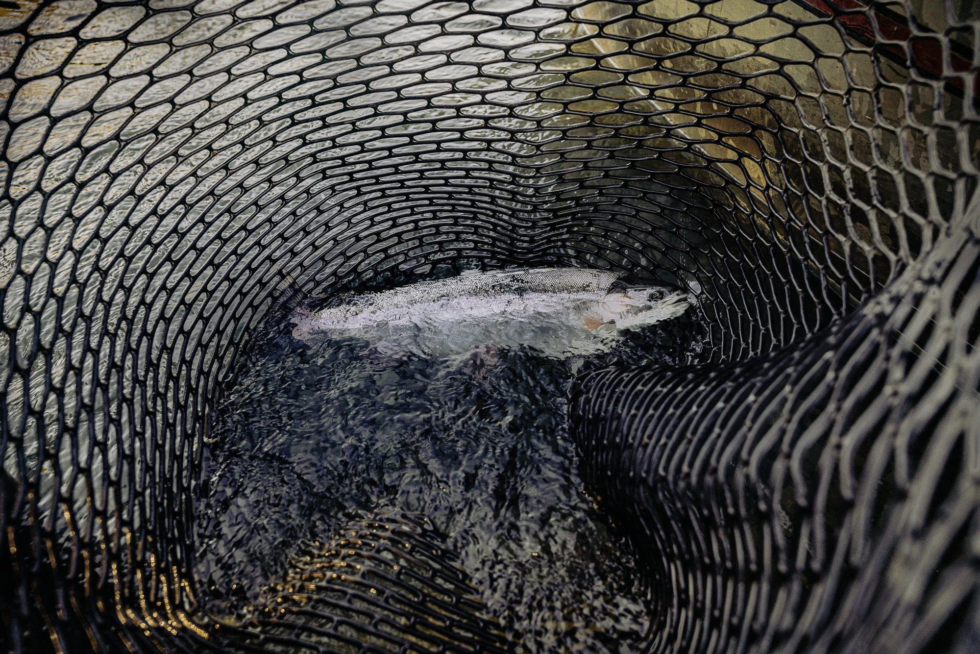 WGP03171.jpg