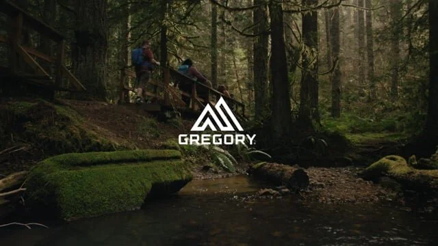 What is a plus size pack?