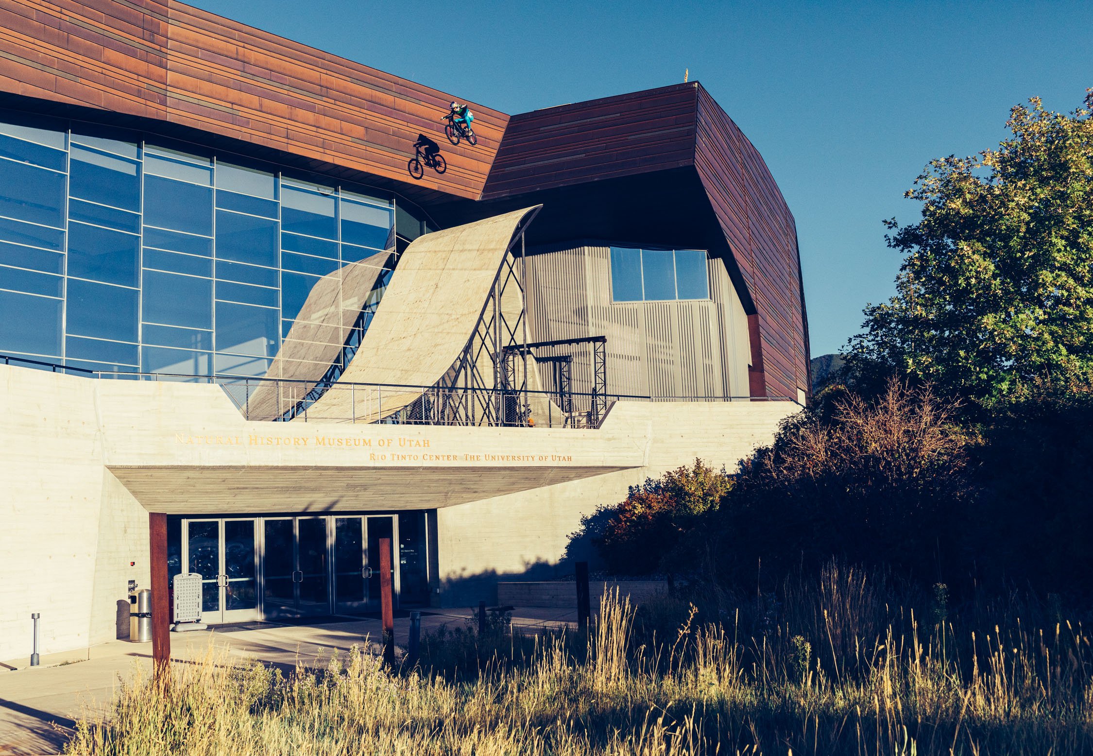 RED BULL | MOST NOTORIOUS