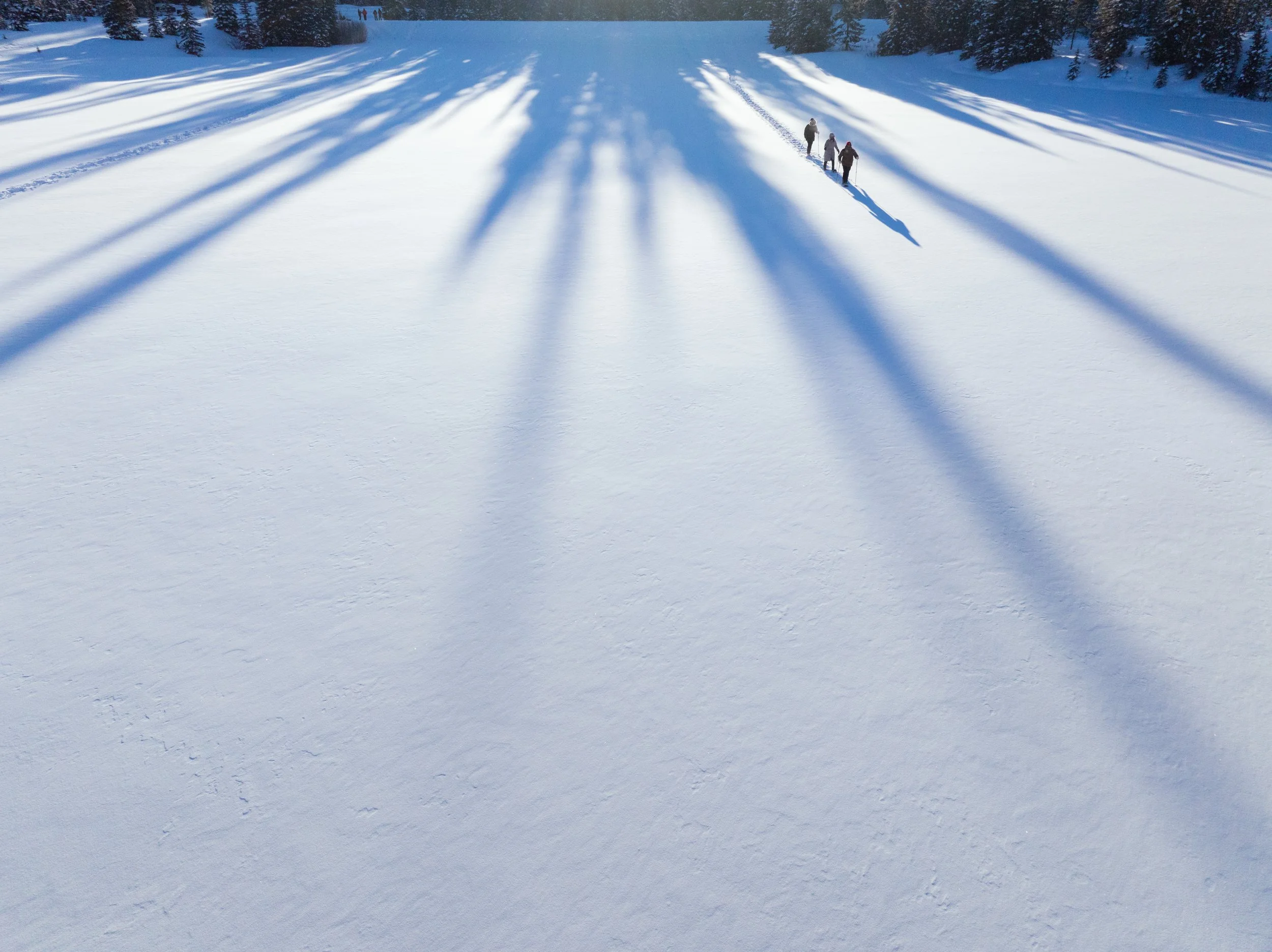 JGIBSON_DJI_20250207092213_0035_D.jpg