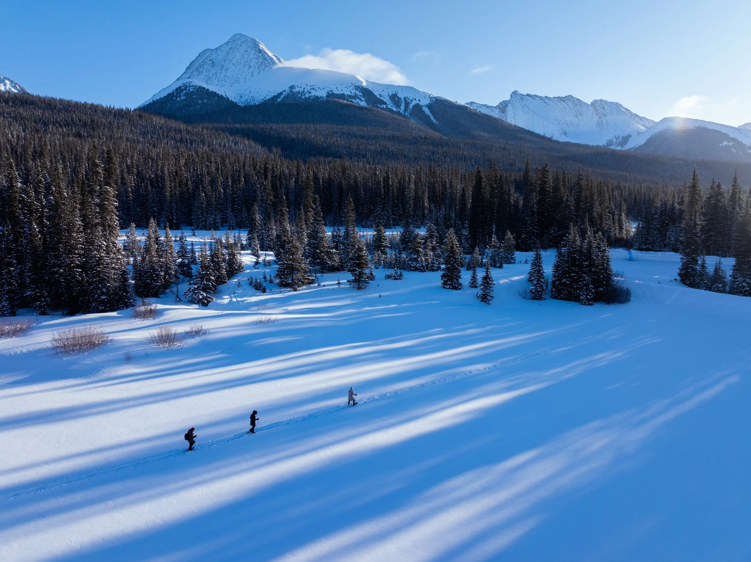 JGIBSON_DJI_20250207091717_0018_D.jpg