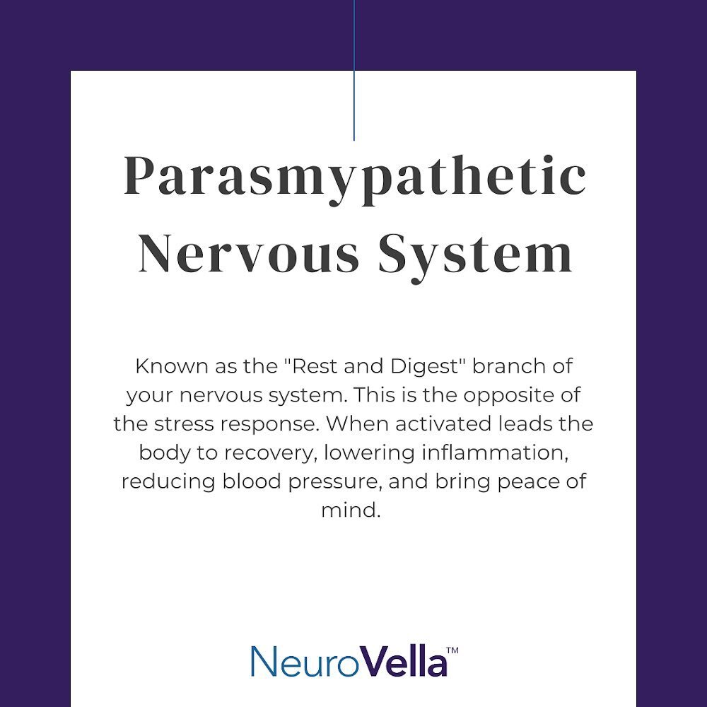 Pause...when you do you activate this area of the nervous system 🧠 this system also regulates metabolism and touches all organs in the body. Studies show that people who engage in a regular meditation practice have lower blood pressure, and lower le
