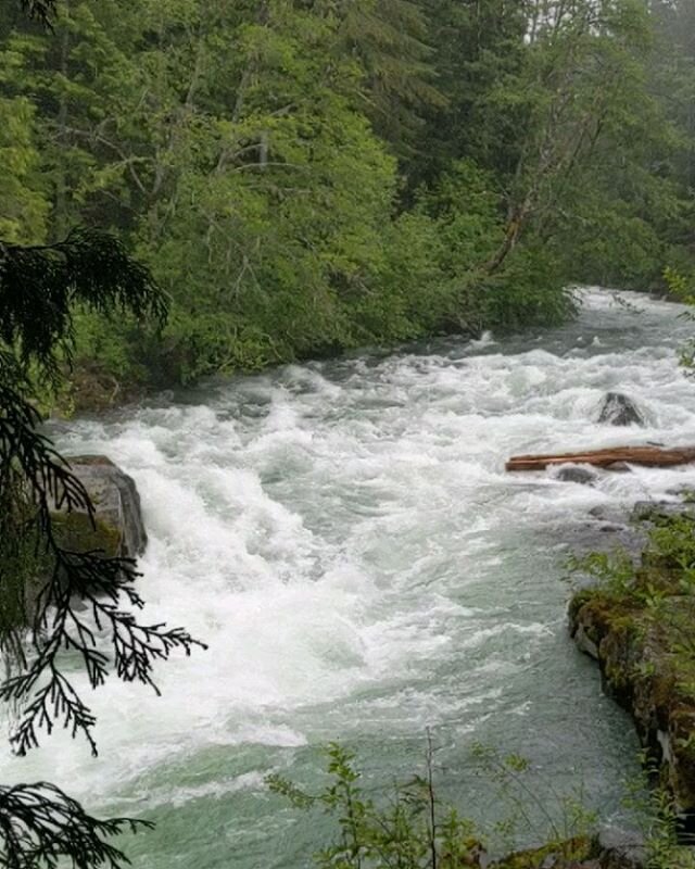 We are so fortunate to be located where we are. The mighty Cheakamus river had us all in awe as we stopped to take in its power, Friday.
&bull;
Also. Cupcakes.
&bull;
&bull;
&bull;
&bull;
#MountainMinisChildcareWhistler #CheakumusRiver #BeOutsideInNa