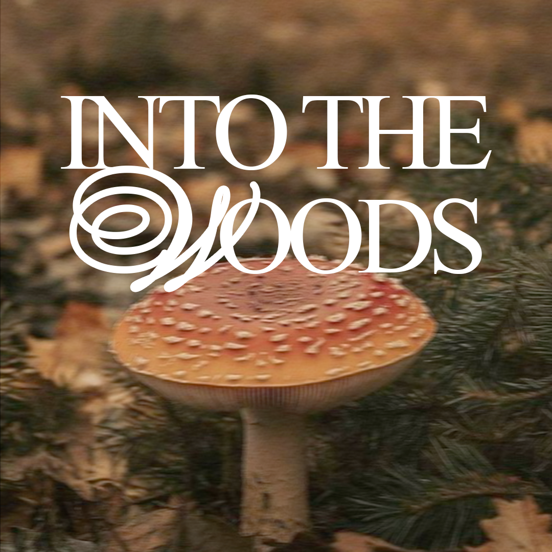 into the woods