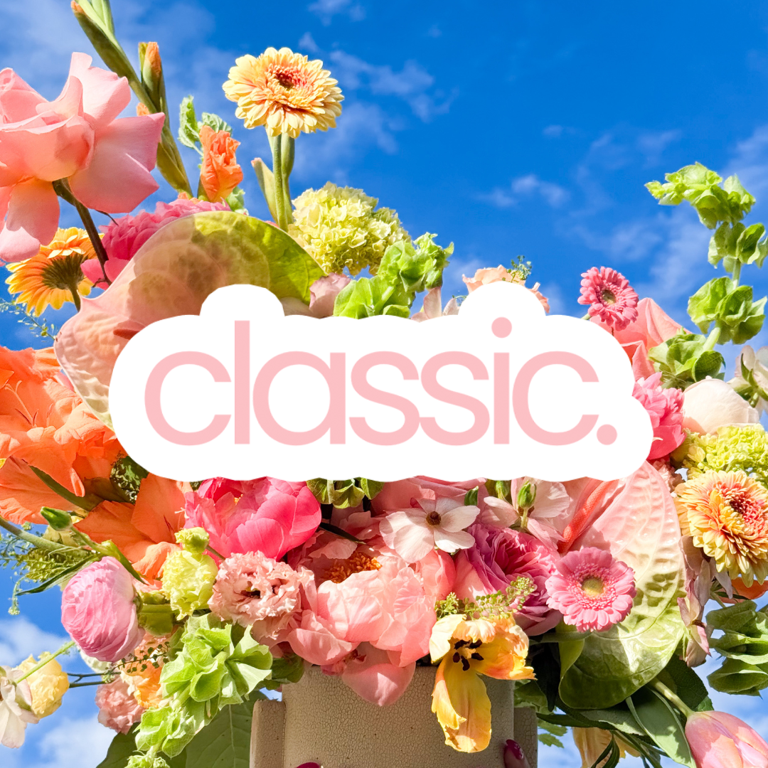 Classic Designer's Choice