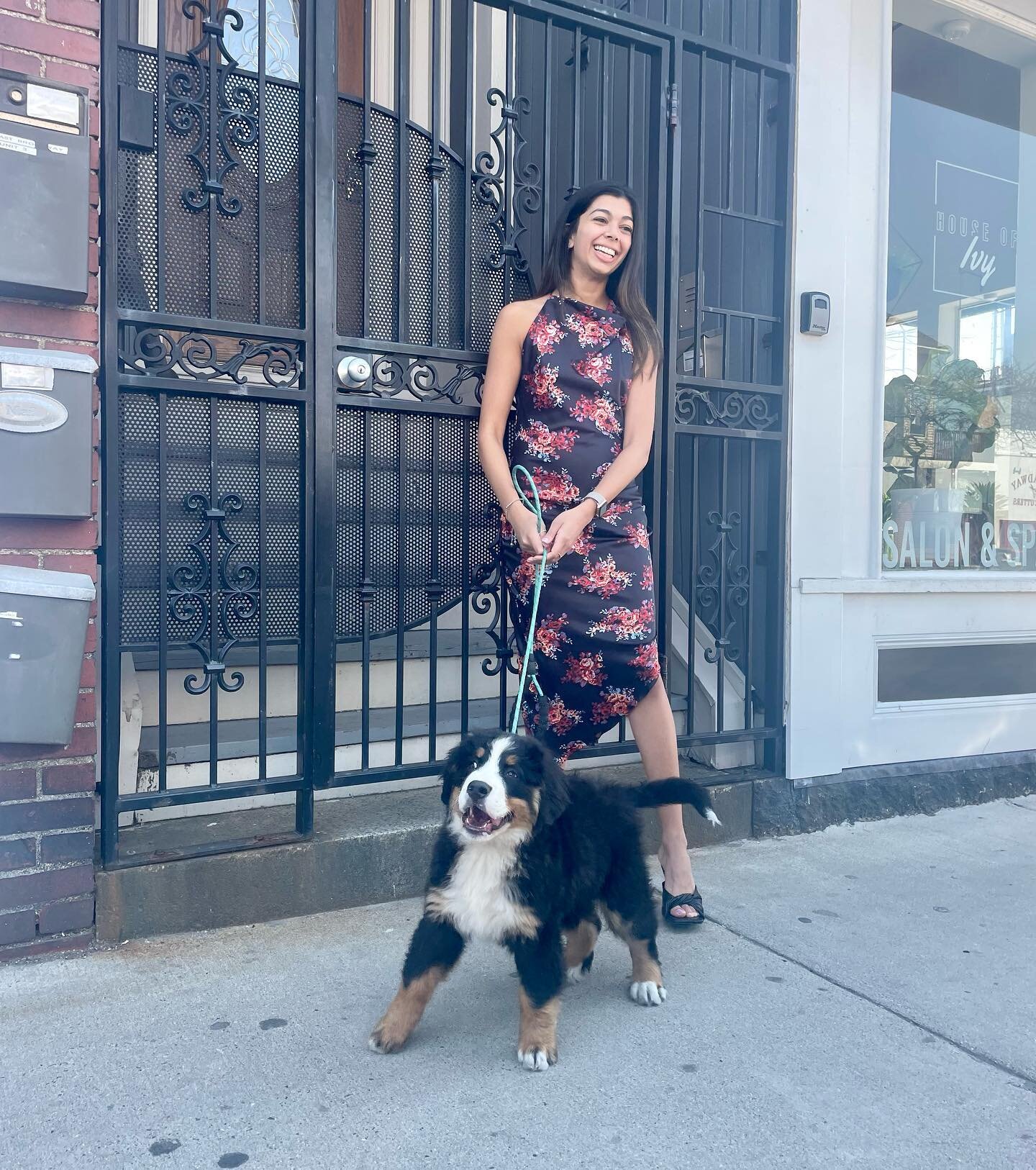 Strike a pose! 📸 Work that runway! 💃 You know you have the cutest puppies in Southie when you&rsquo;re stopped on the street to take part in a @habitboston photoshoot! Betty Boop makes the most adorable model, don&rsquo;t you think?!l Probably why 