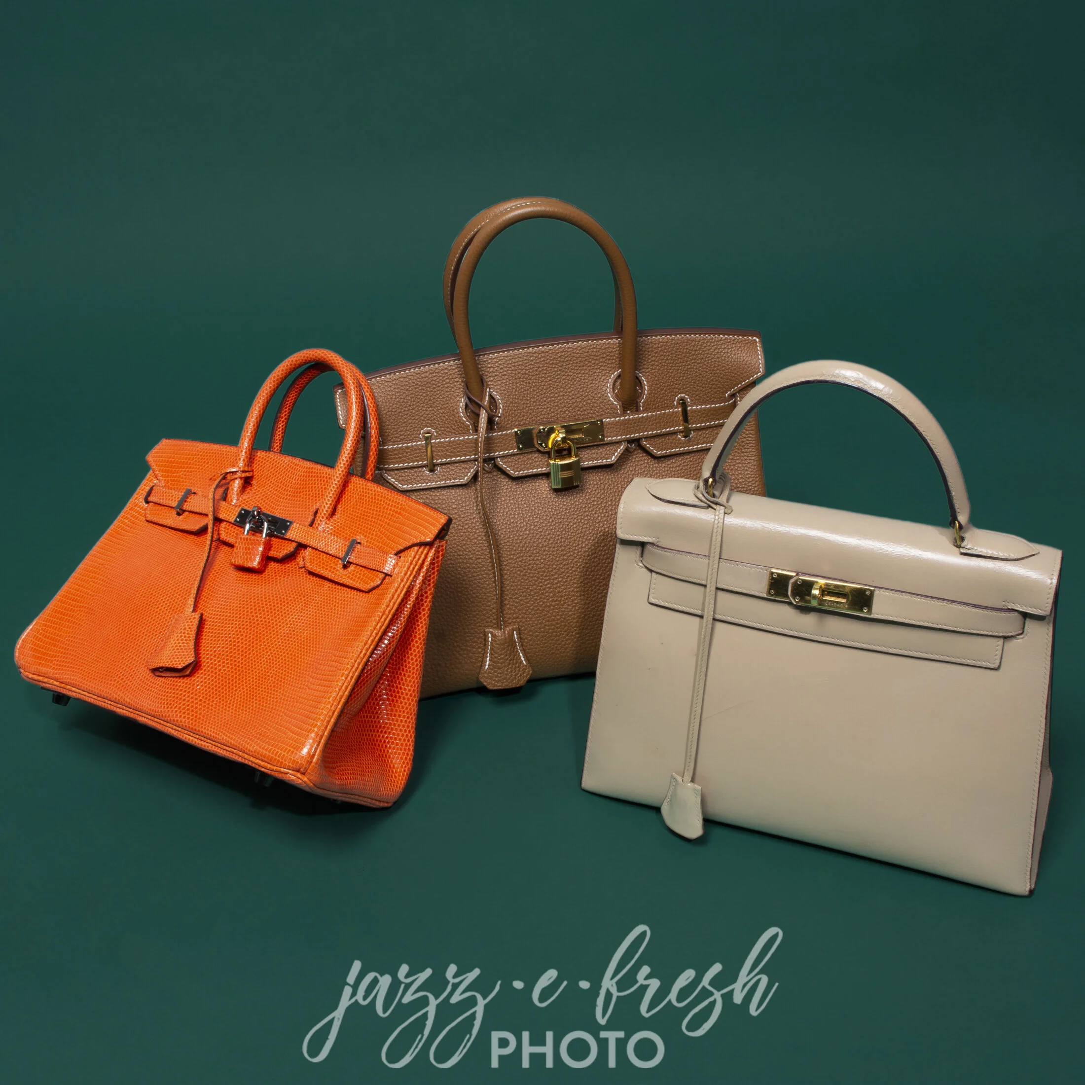 341826 341327 341866.JPG