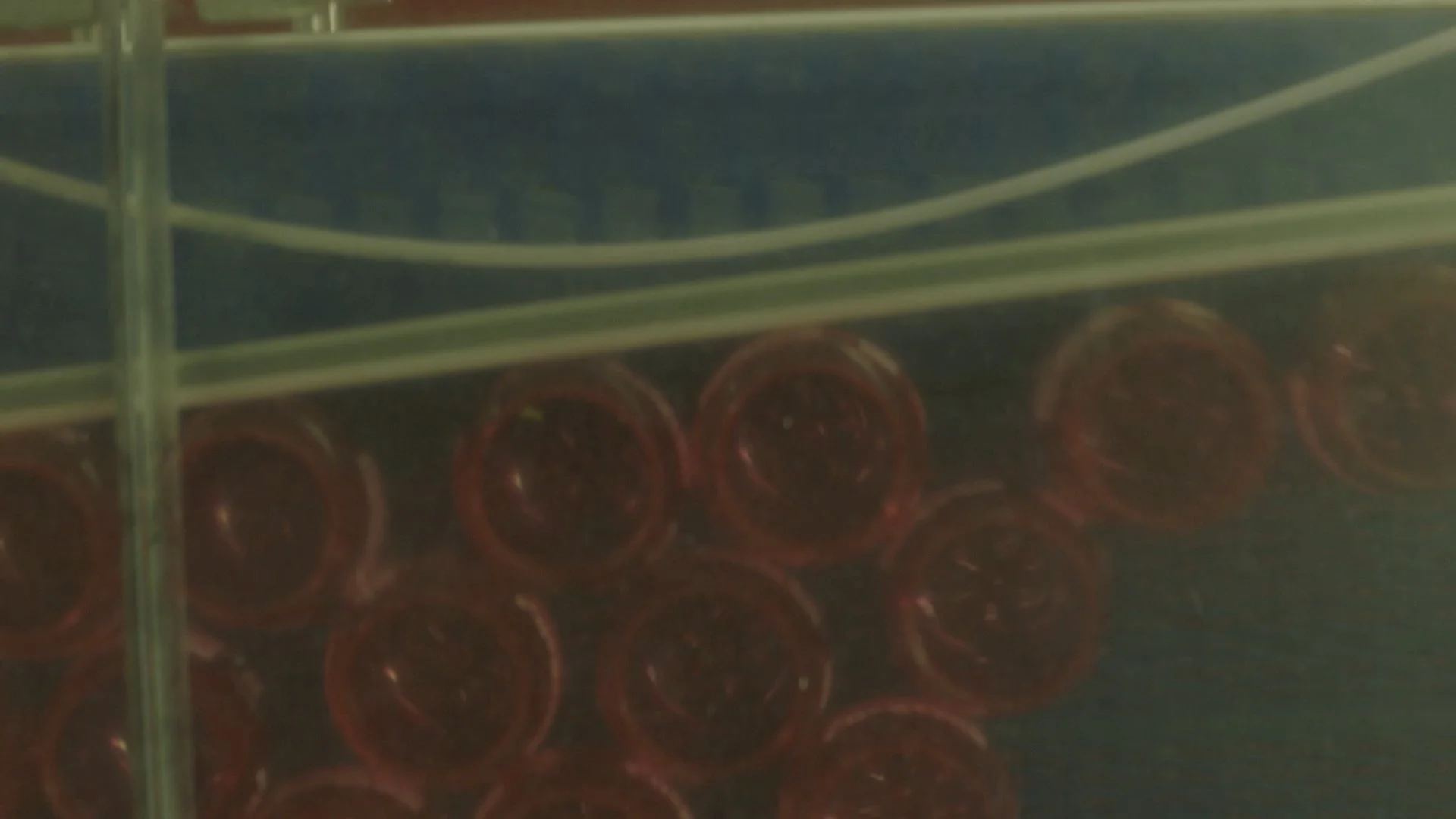 BBSC Still_1.1.12.jpg