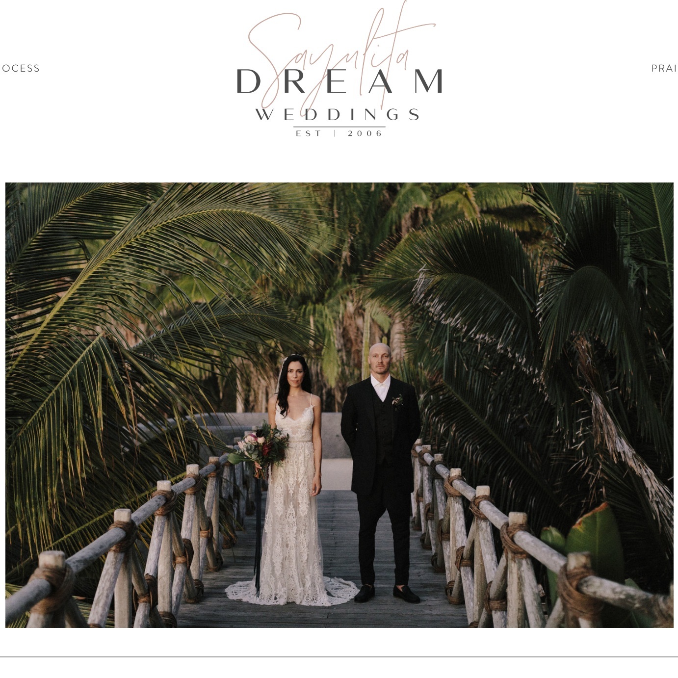 Celebrating 13 Years of SDW with our New Site Launch!  