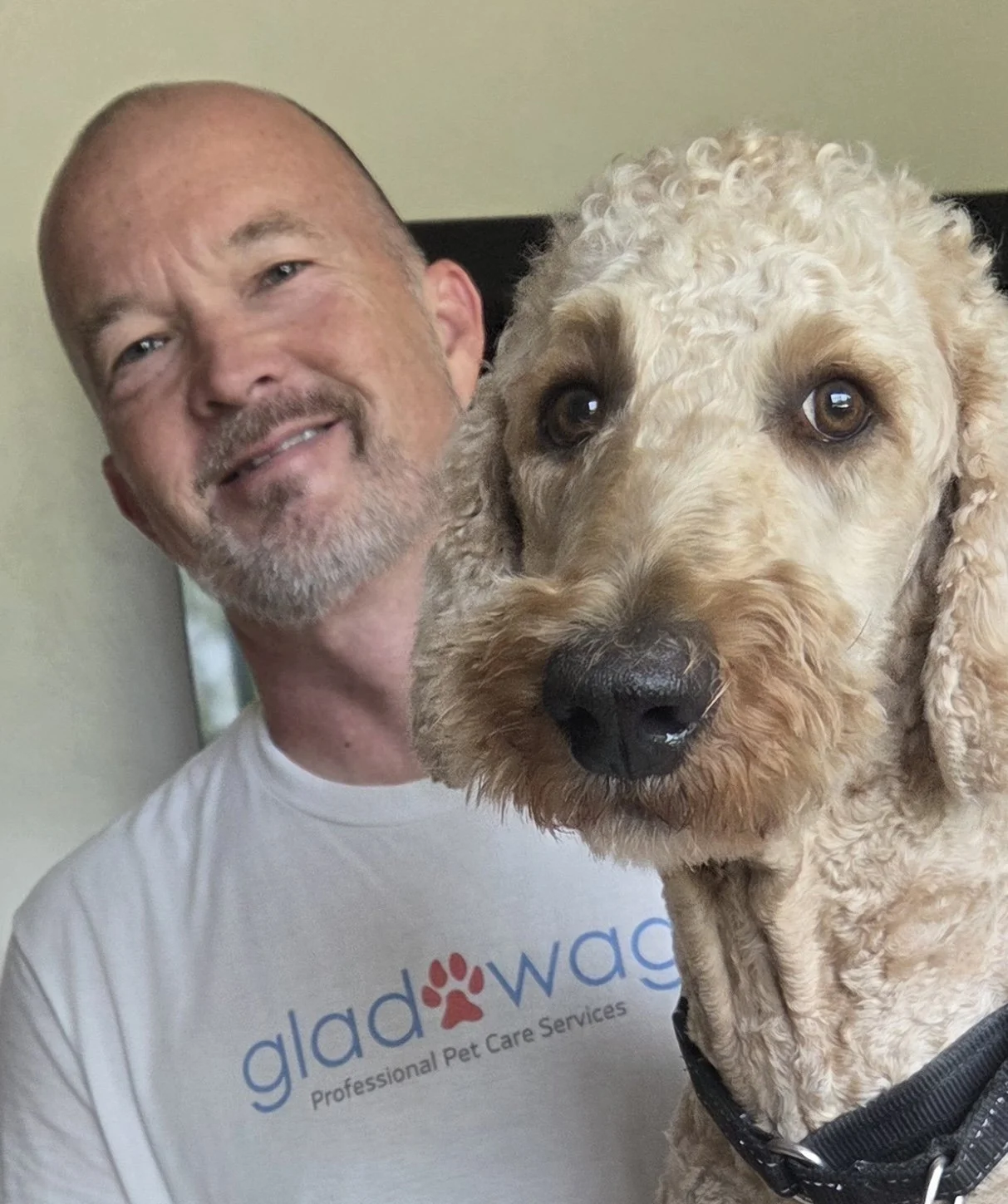 Glad Wags employee LWR with dog