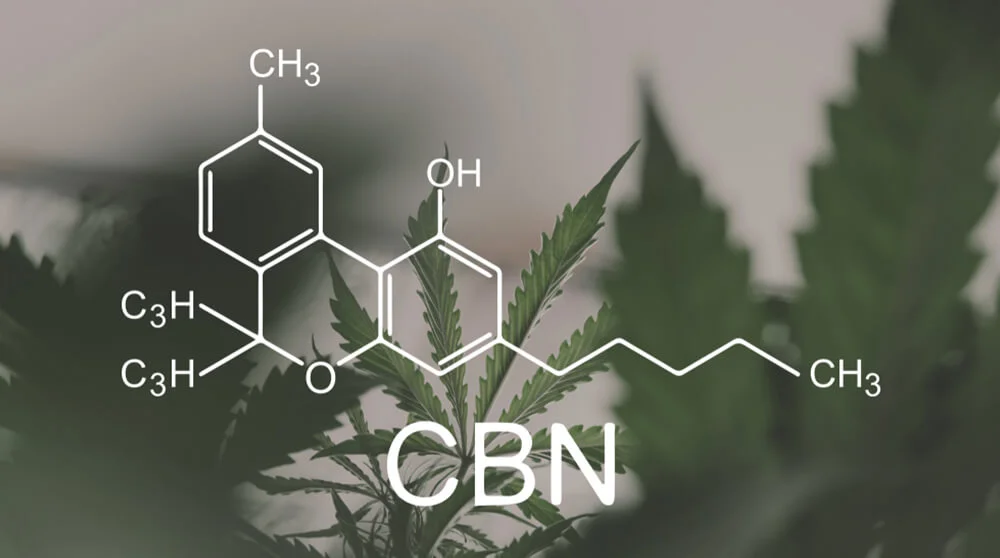 phytocannabinoids.jpg