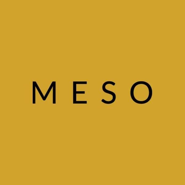 meso-logo.jpg