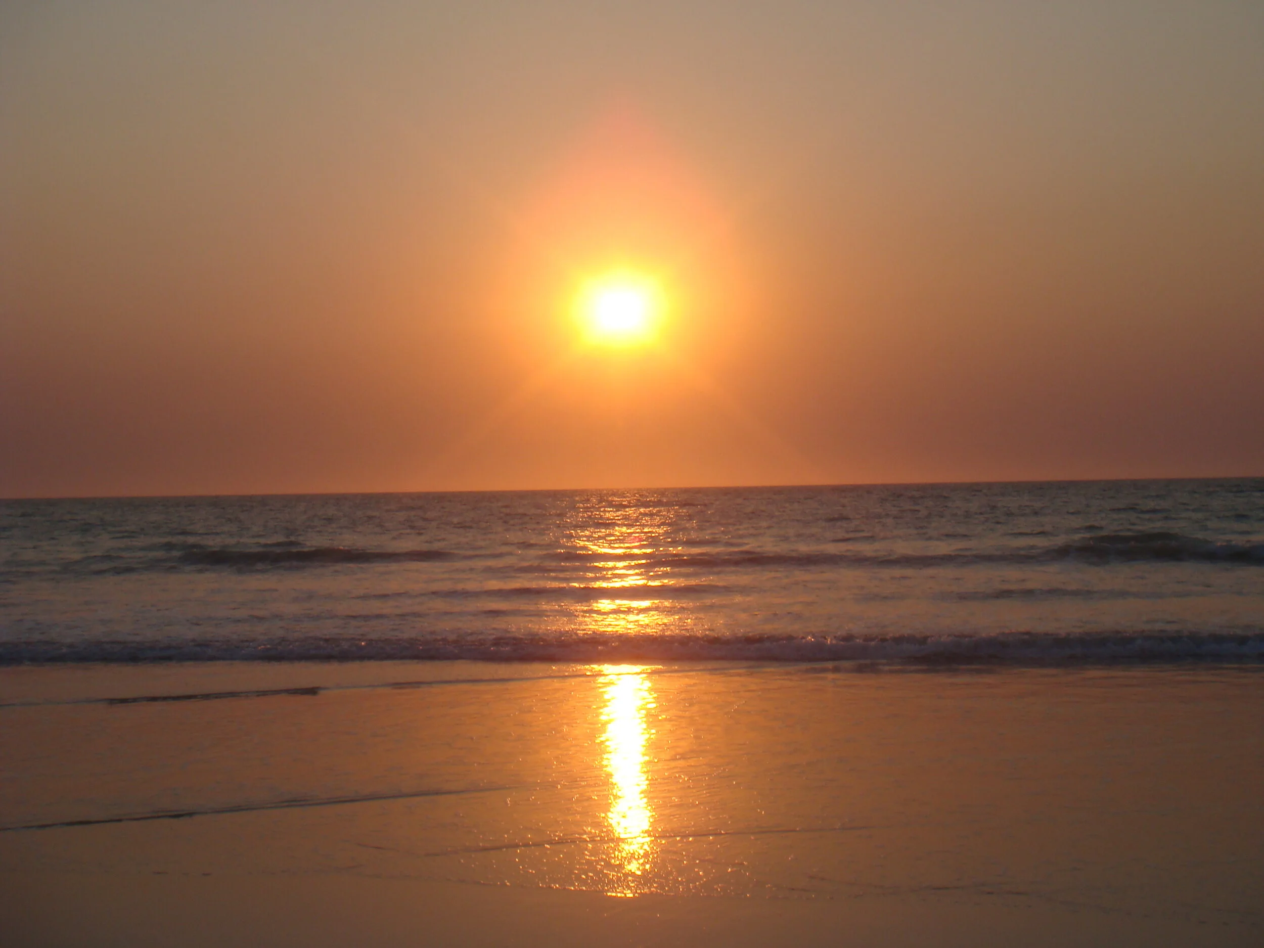 Wellness in the time of COVID-19 - Part 2