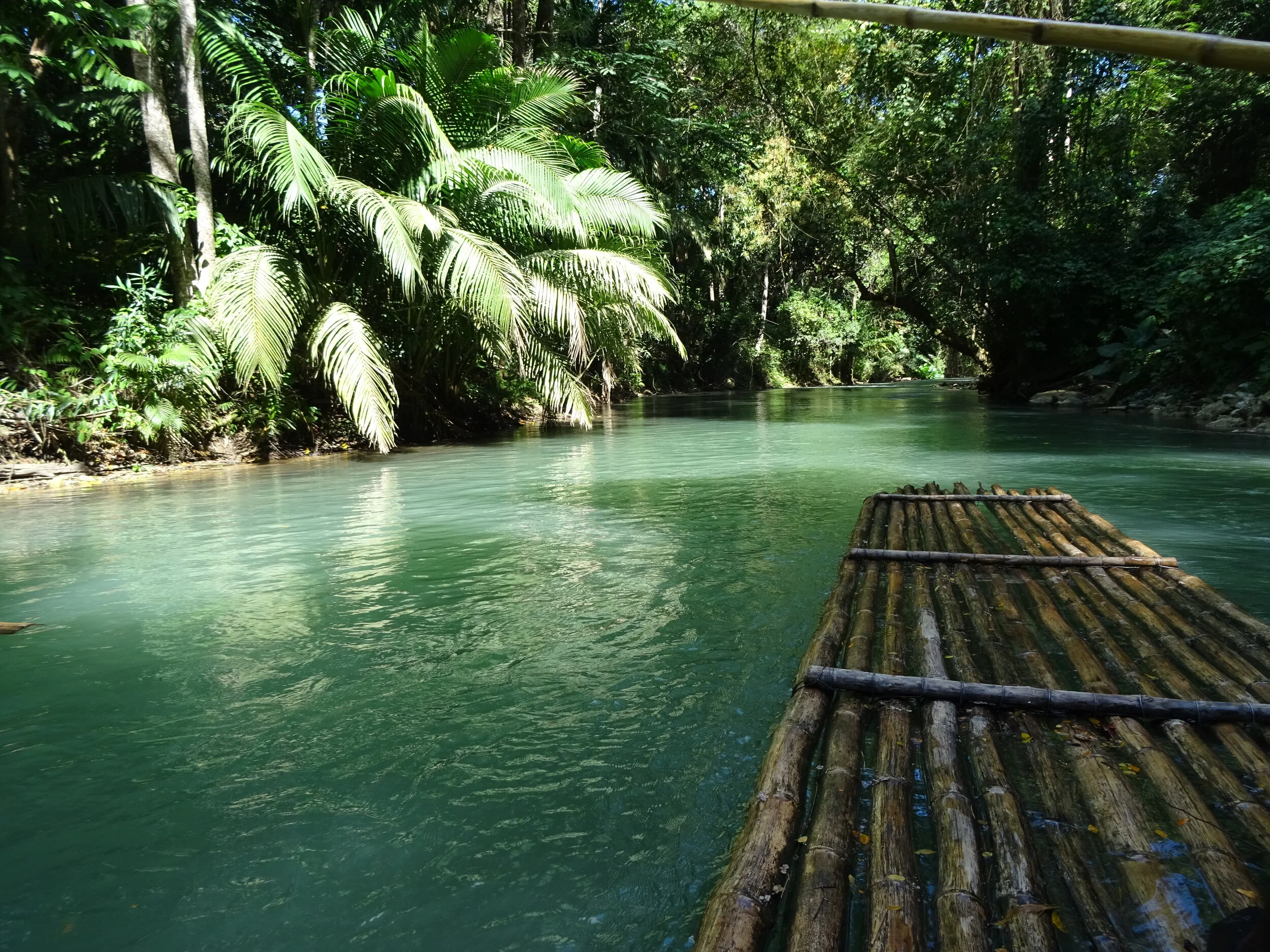 Wellness in the time of COVID-19 - Part 4