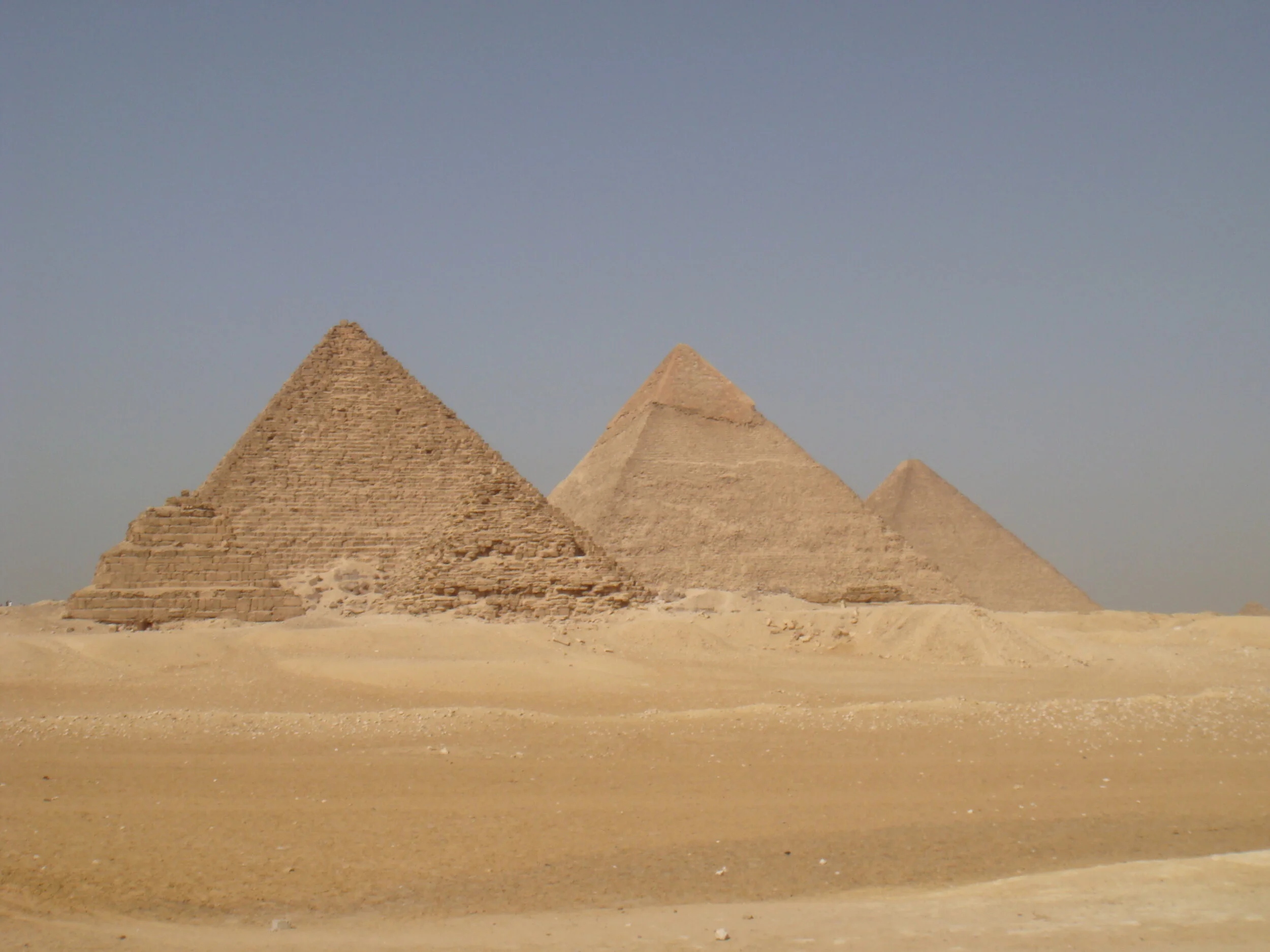 Wellness in the time of COVID-19 - Part 5