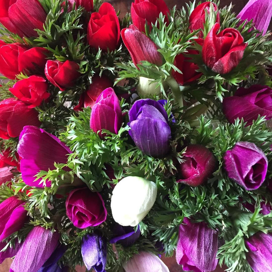 Anemones