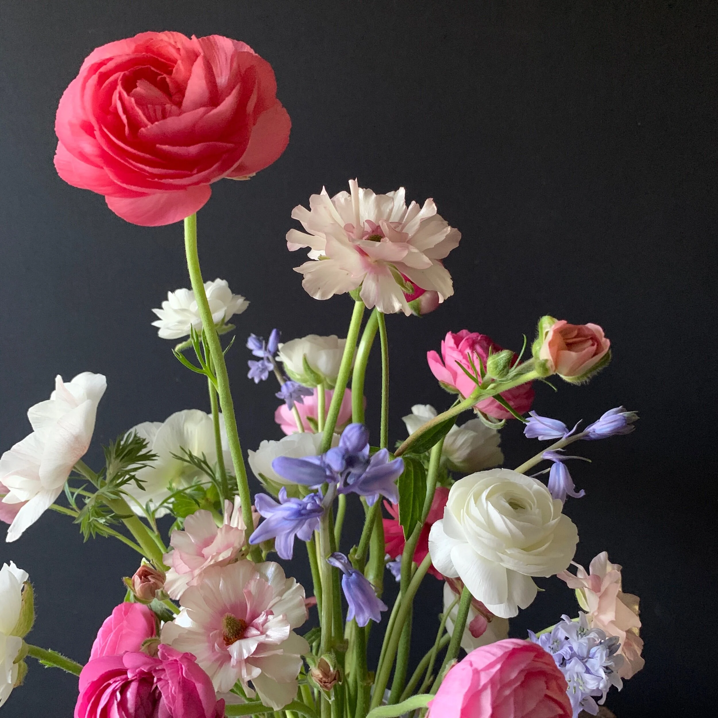 D4CA52C6-0A51-4038-A9F5-4EDF60CB7831