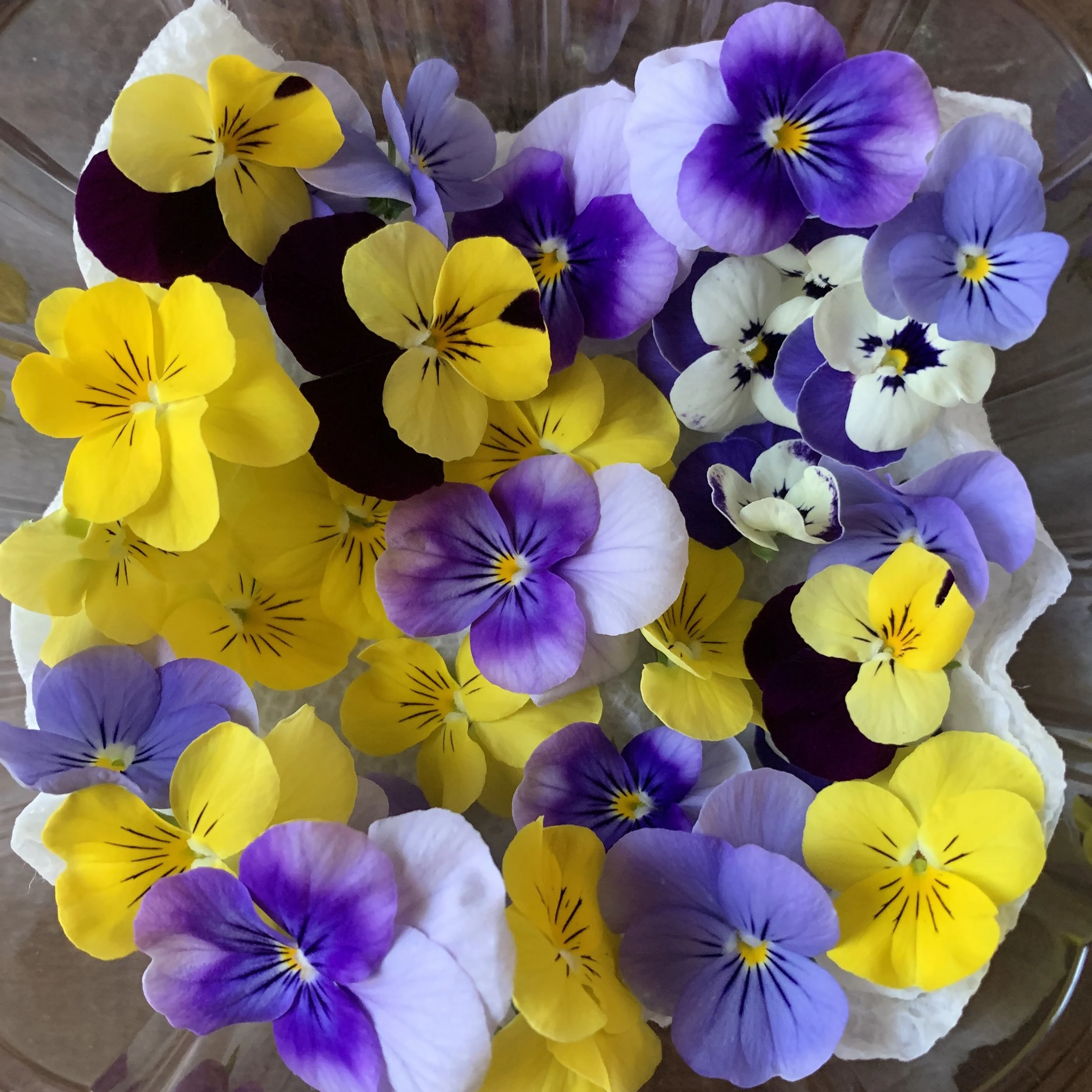 Seasonal Edible Flowers