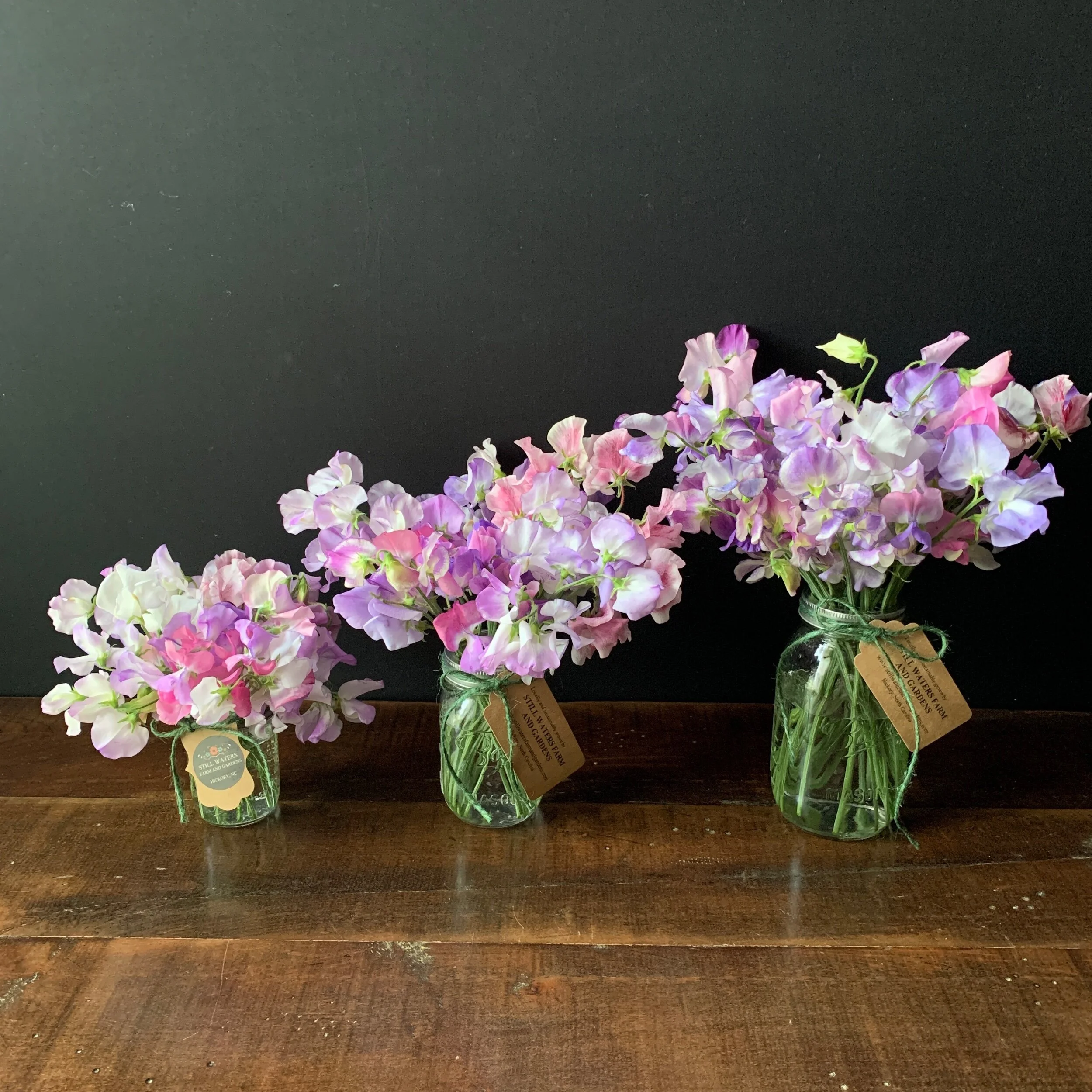 D19239A8-FCE4-4C9A-8DFF-8C1D82992730