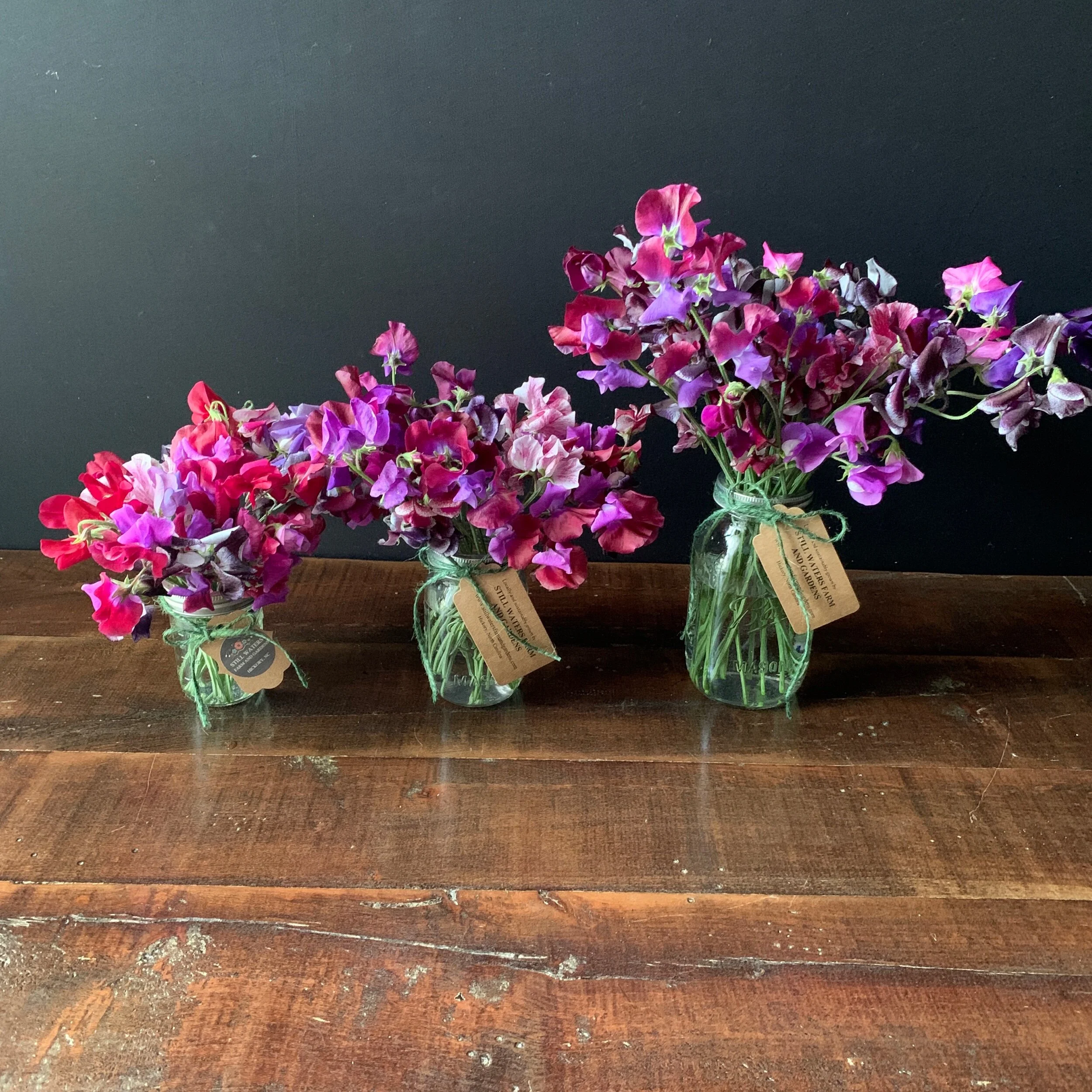 0D0AF1EC-B0A3-4664-AAA4-BC8EFD89CE1B