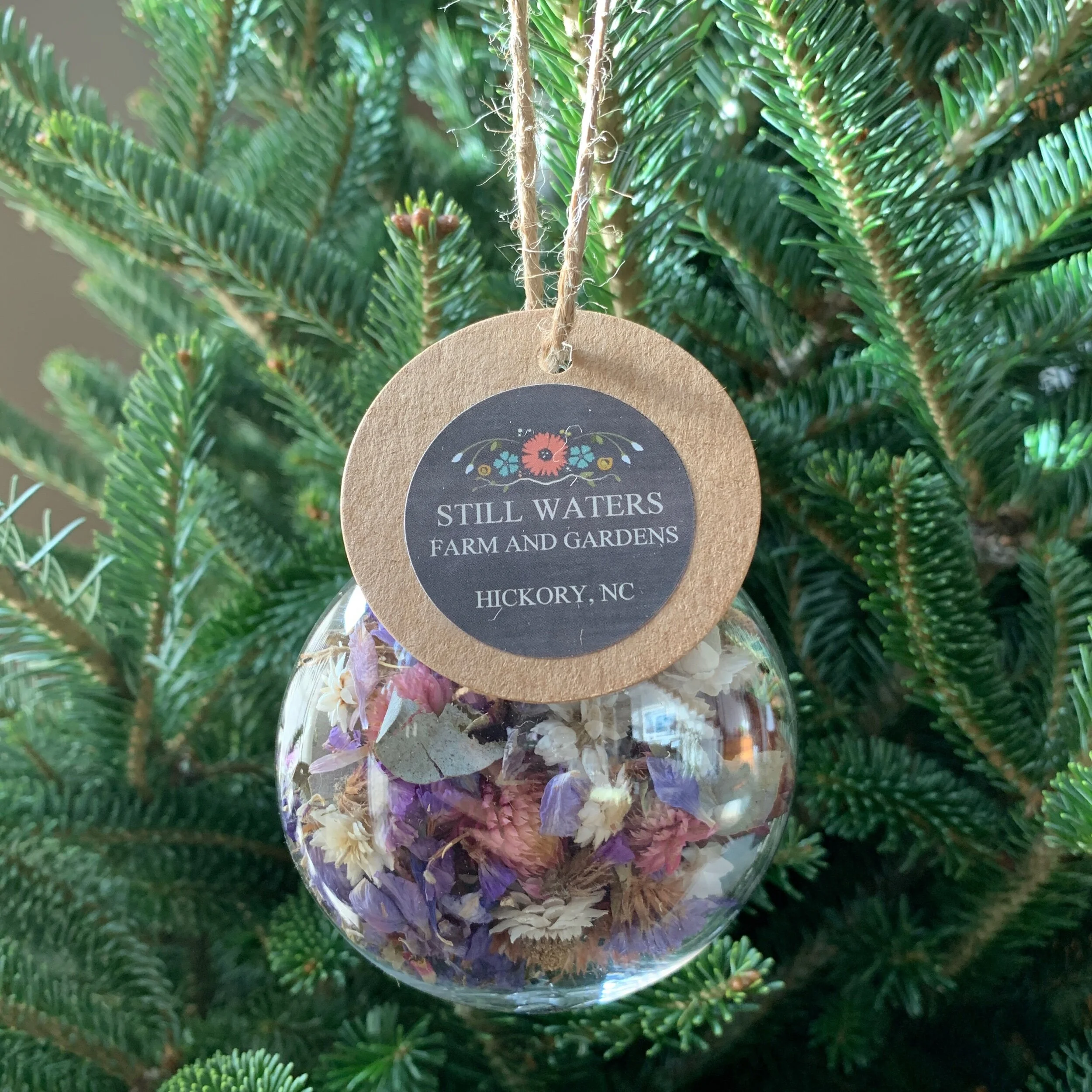 E5497795-9EB2-49F4-8DE6-5F24951BA704