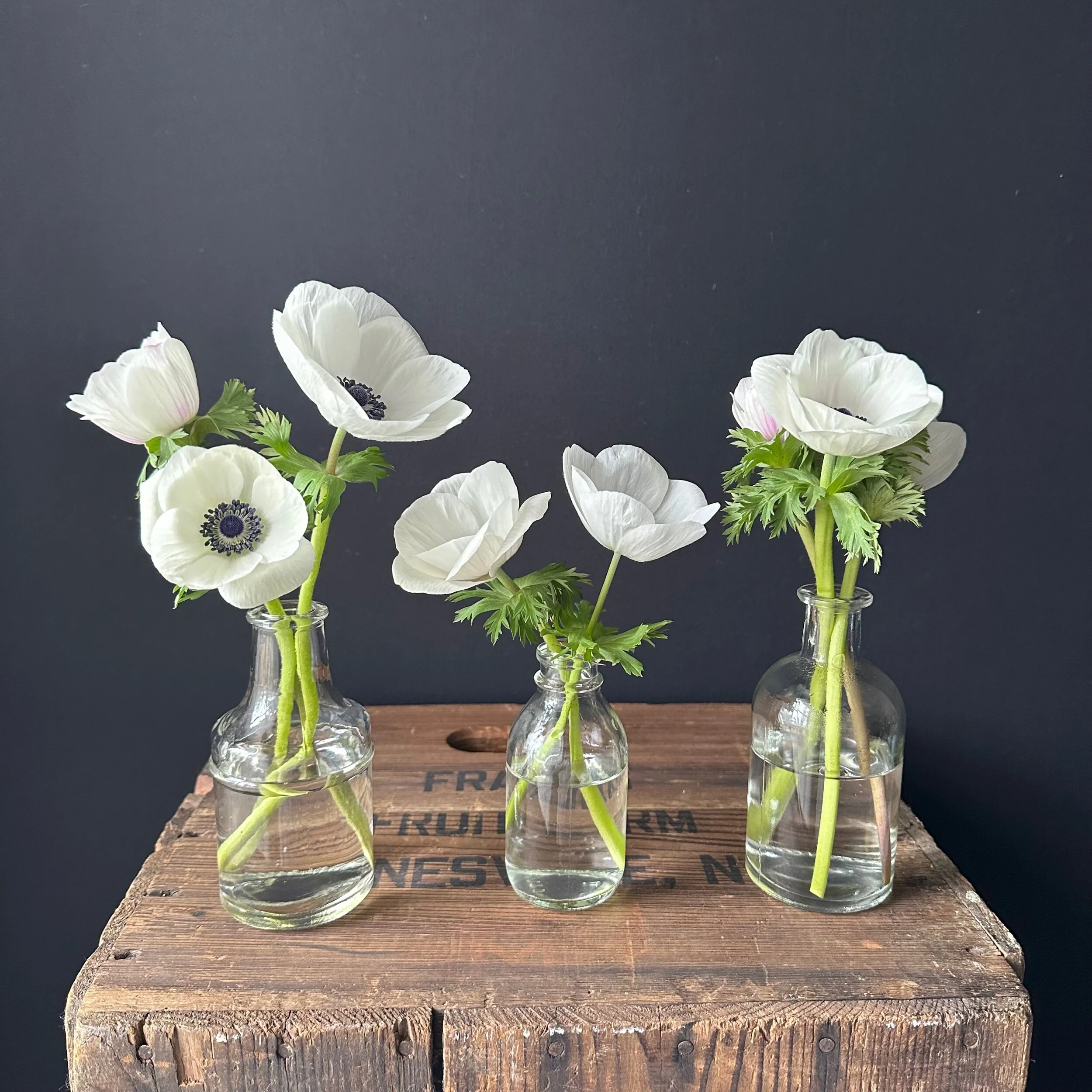 D63BC4CD-5D6C-4834-AC09-64F8CE5EF584