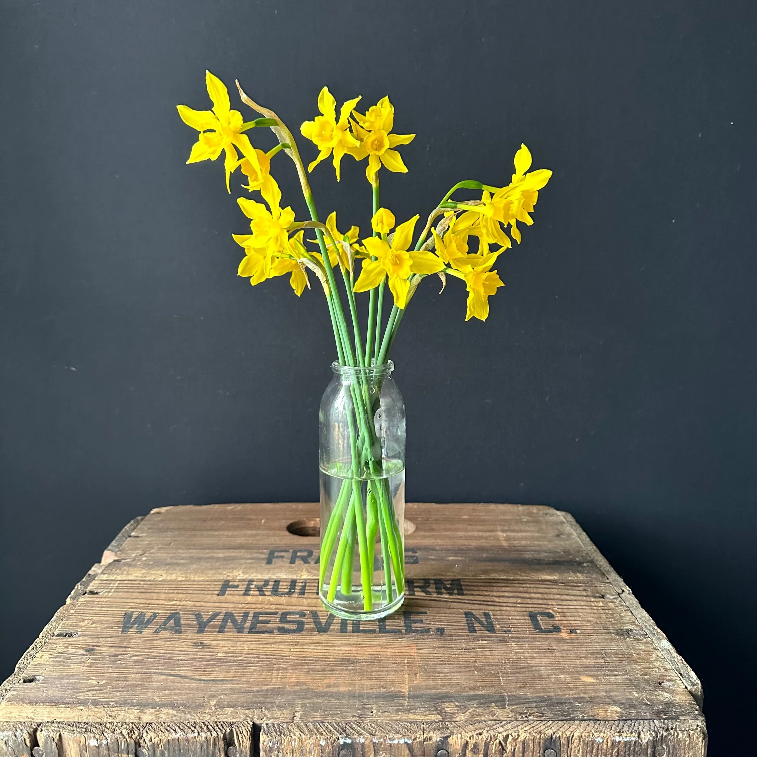 6D25B12C-D509-4A13-8F96-6AB61AD35640