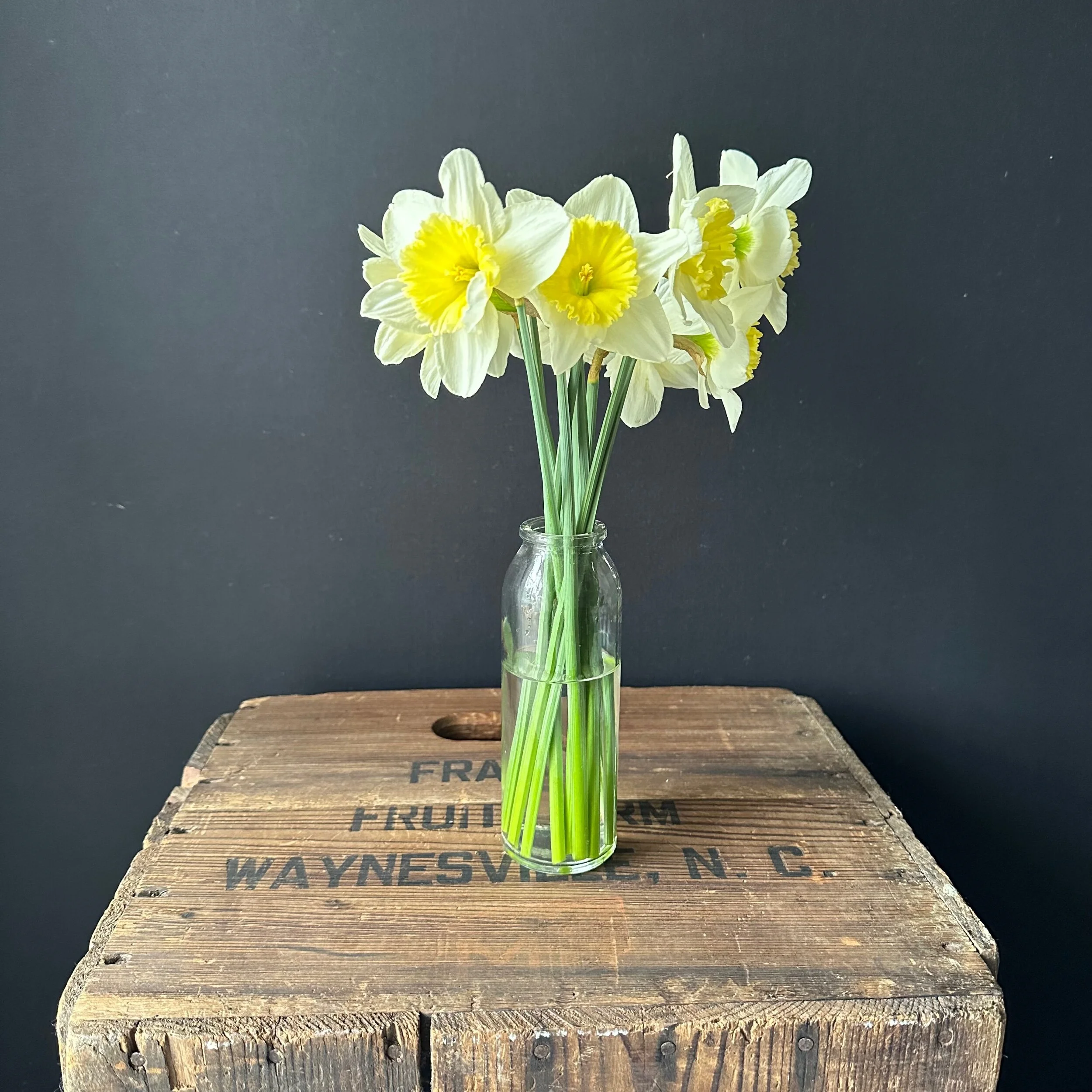 3CF099CC-3F1B-4810-995C-580FAC76F7EF