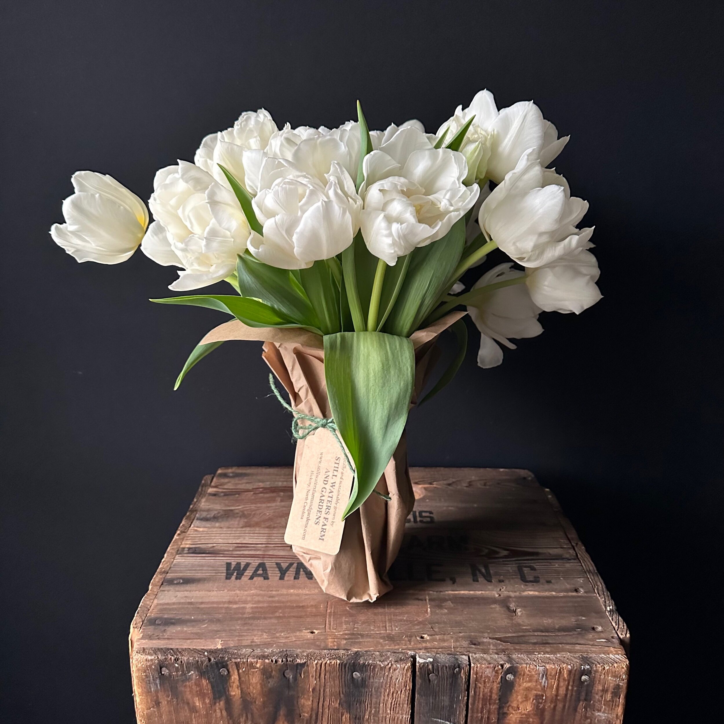 54D09E4F-BBD2-4573-B9B7-85AD4DF9516D