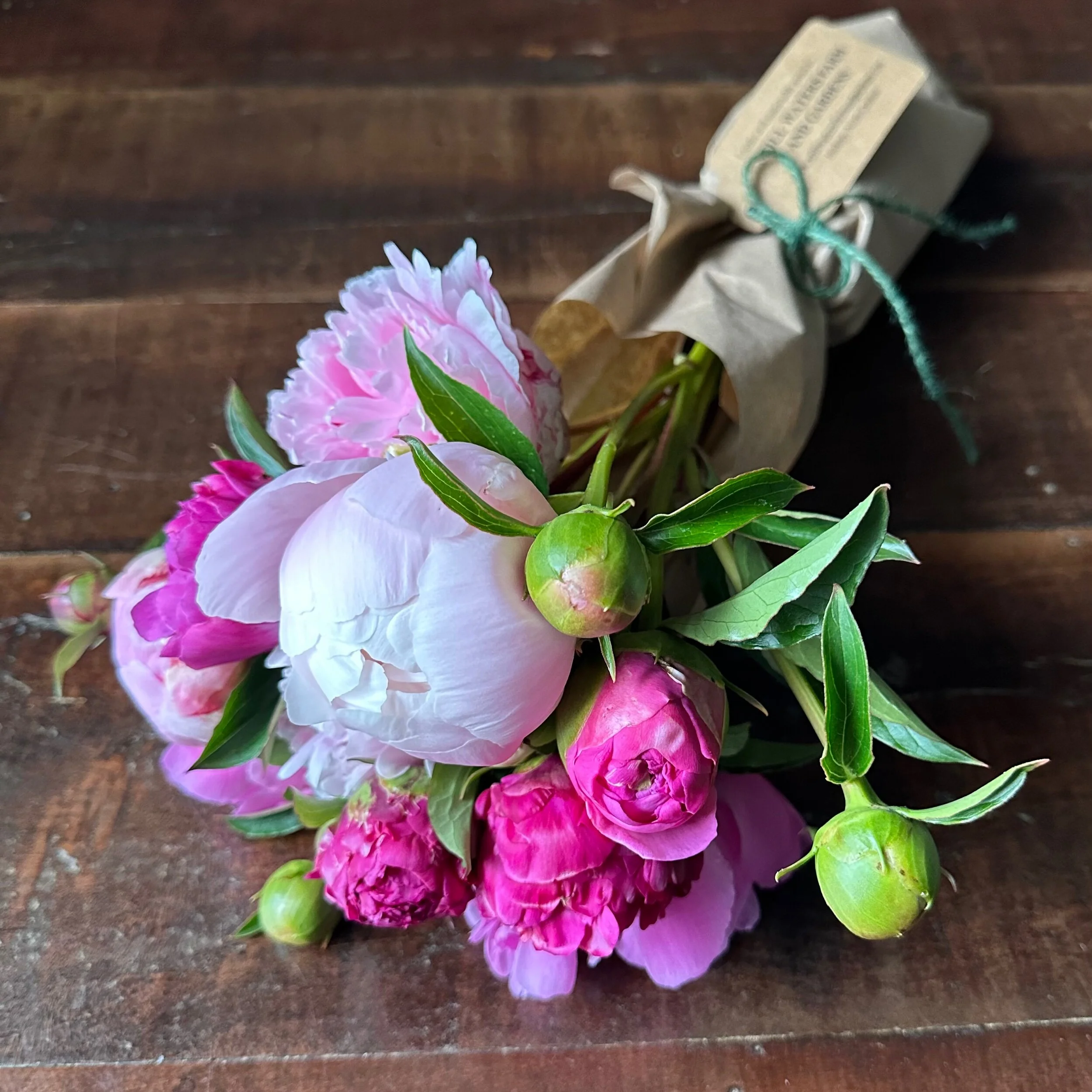 31F7AE4B-9F78-4B81-B2BC-39A1A4E90413