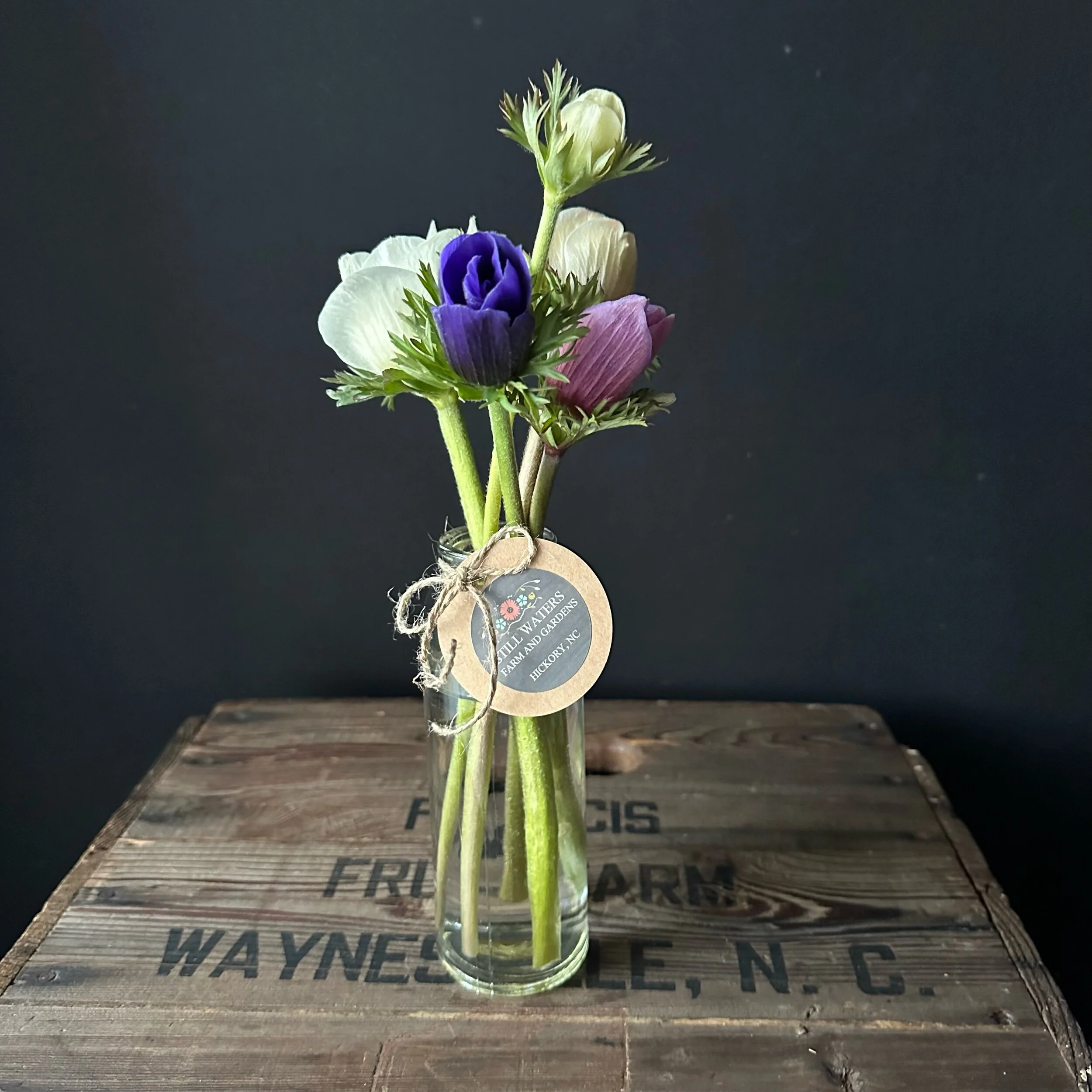 4F2151BE-89F8-4D23-AFEE-9DF26A761FD3