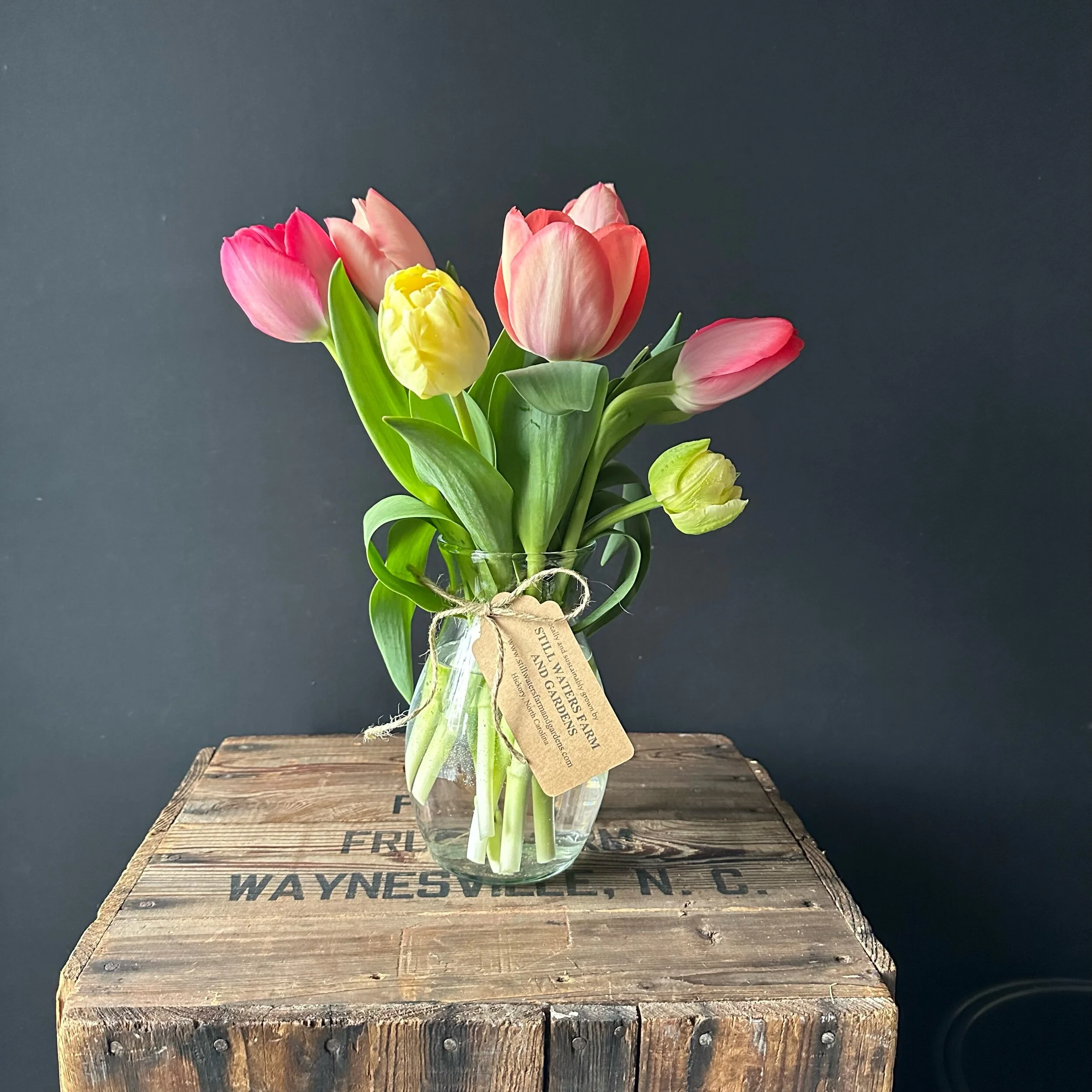 99338891-68E7-4517-AC86-C8662DB304DF