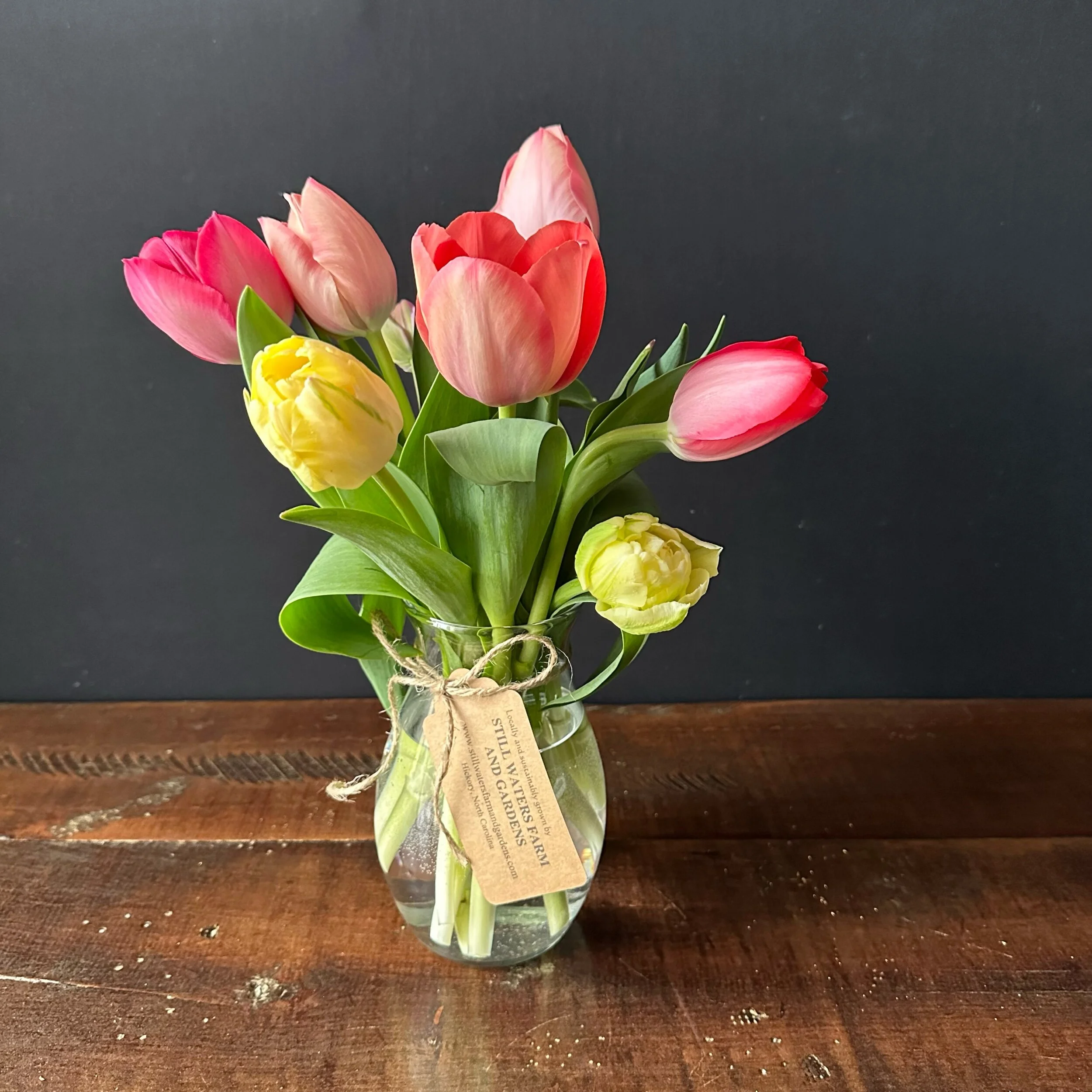 6FC5A9E1-F649-42B9-876D-56D39F7787B1